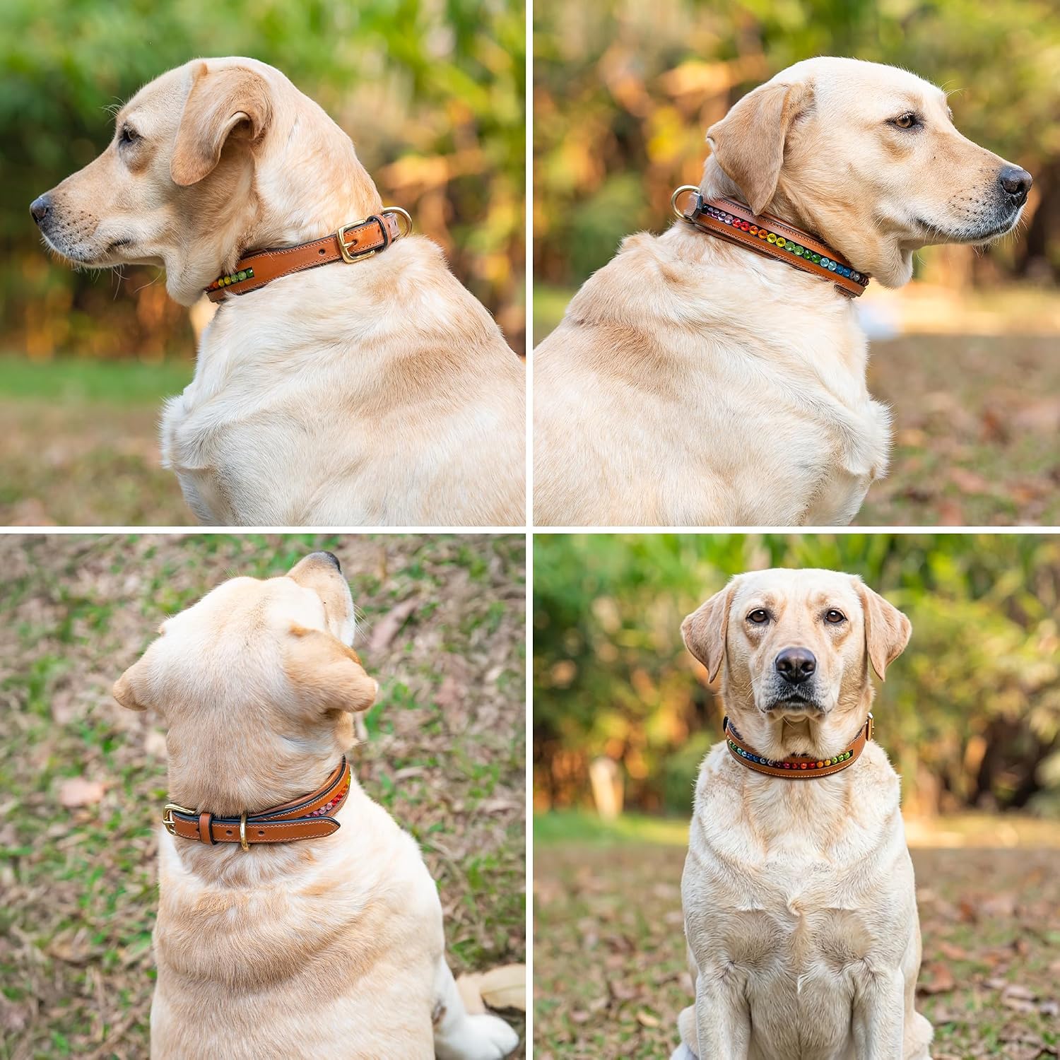 Adil’s Crystal Dog Collar, 1 inch Wide Green Gemstone Chain Leather Dog Collars for Small Medium Large Dogs, Adjustable Collars with Strong Metal Buckle & D-Ring