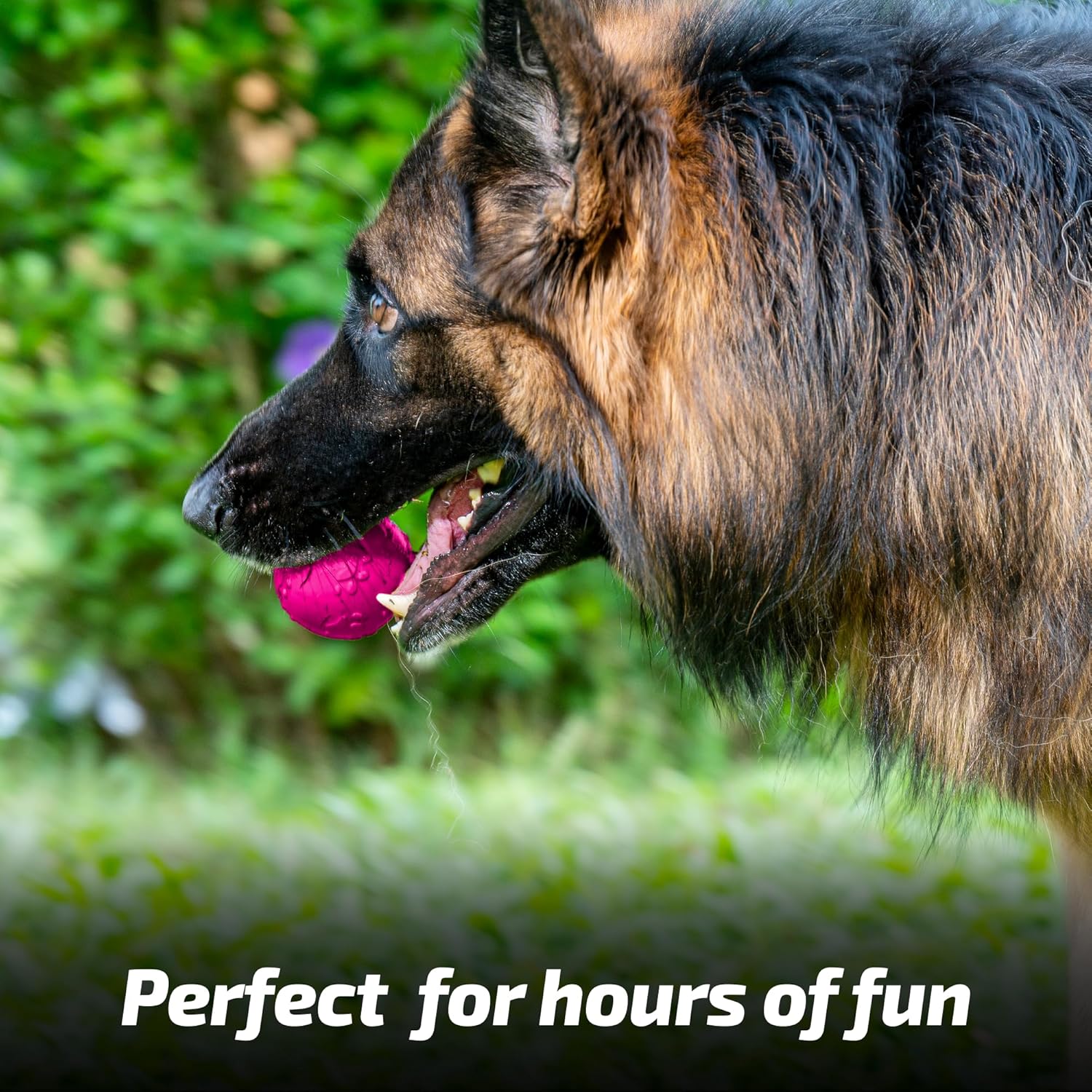 ADIL'S Natural Latex Dog Chews Ball Toy for Small to Medium Dogs & Puppies