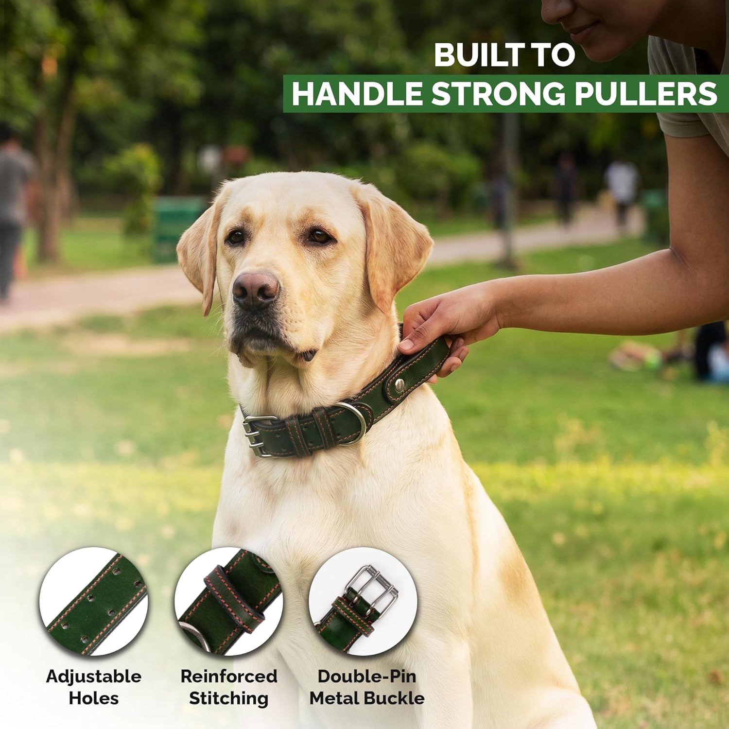 Adil's Leather Dog Collar with Control Handle 1.5 inch Wide Double Pin Buckle Built-in Quick Grab Pull Strap D-Ring for ID Card Training Walking Skin Friendly Neckbelt Medium Large Dogs