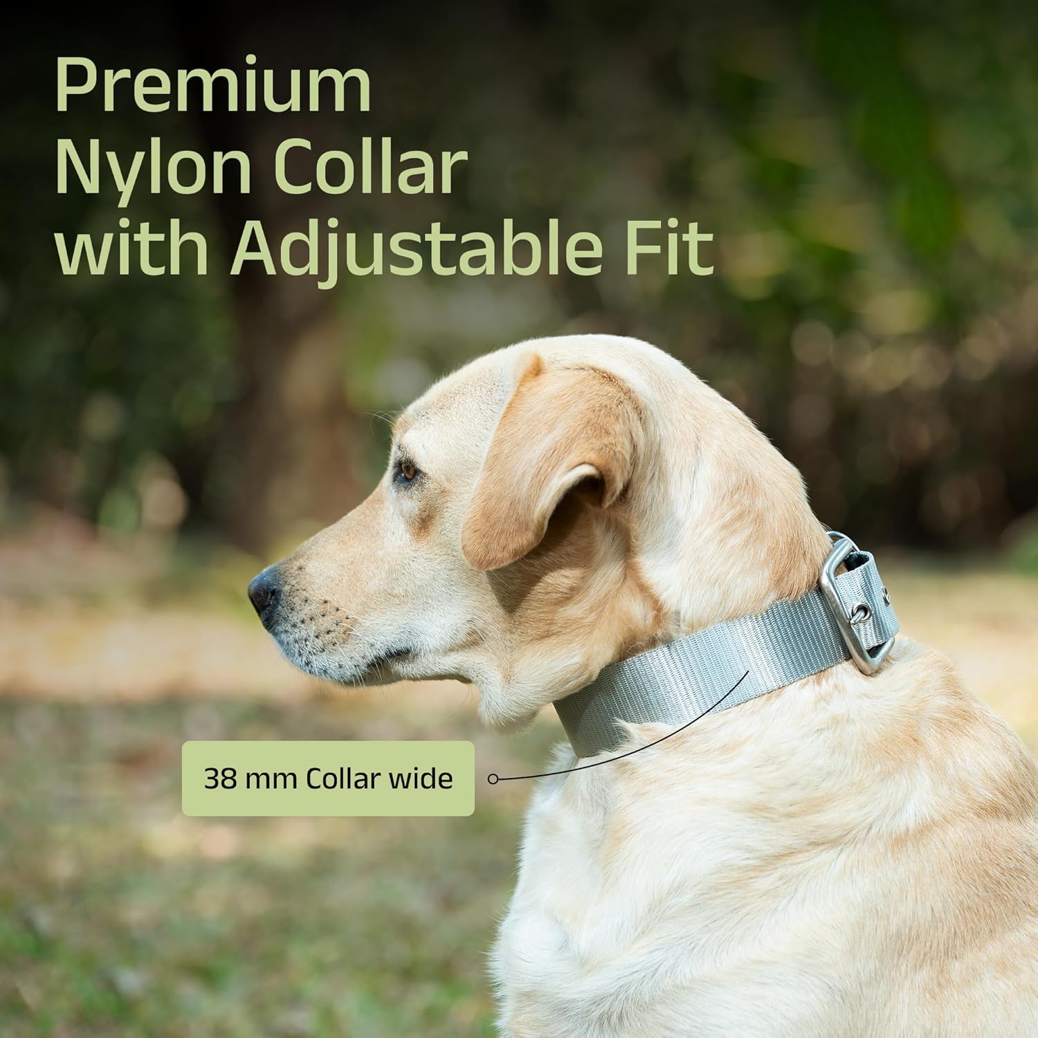 ADIL's Nylon Dog Collar – 1.5 Inch Wide Heavy-Duty Neckbelt with Metal Buckle D-Ring, Adjustable Safety Strap Small Medium Large Pets for Outdoor Walking Training