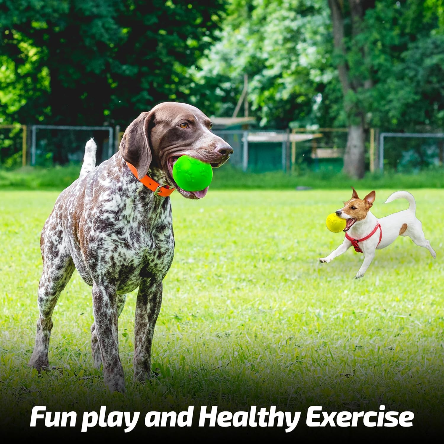 ADIL'S Natural Latex Dog Chews Ball Toy for Small to Medium Dogs & Puppies