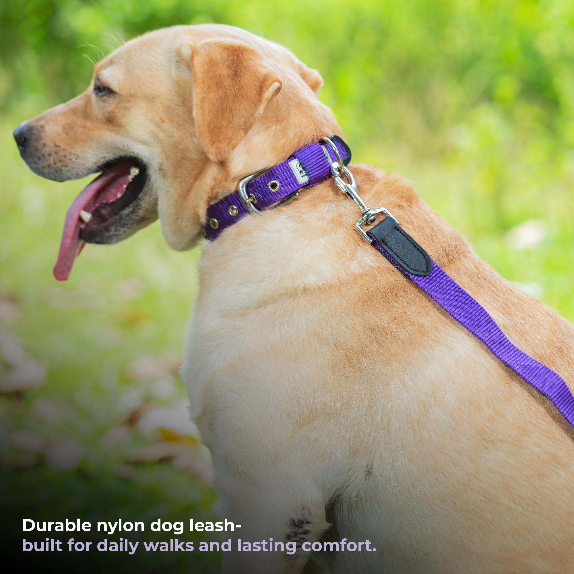 Adil’s 5FT Adjustable Nylon Dog Leash with Soft Leather Handle – Durable Long Lead with 360° Swivel Hook – Strong, Tangle-Free Leash for Walking & Training Small, Medium & Large Dogs