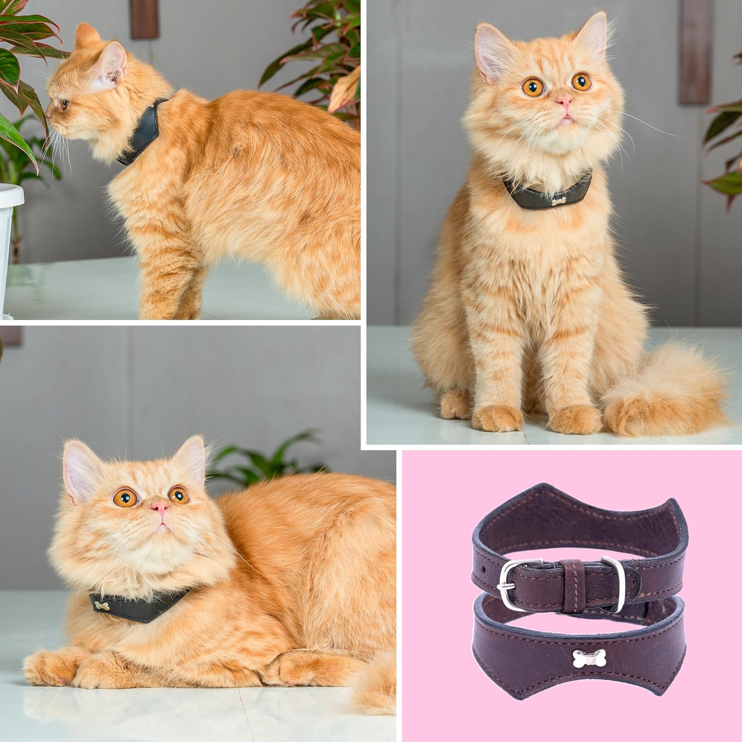 Adil’S Leather Cat Collar - Stylish Single Bone Studded Design, Breakaway Soft pet Collar, Adjustable Metal Buckle with Strong D-Ring for Leash attachments for Outdoor Adventures (Black)