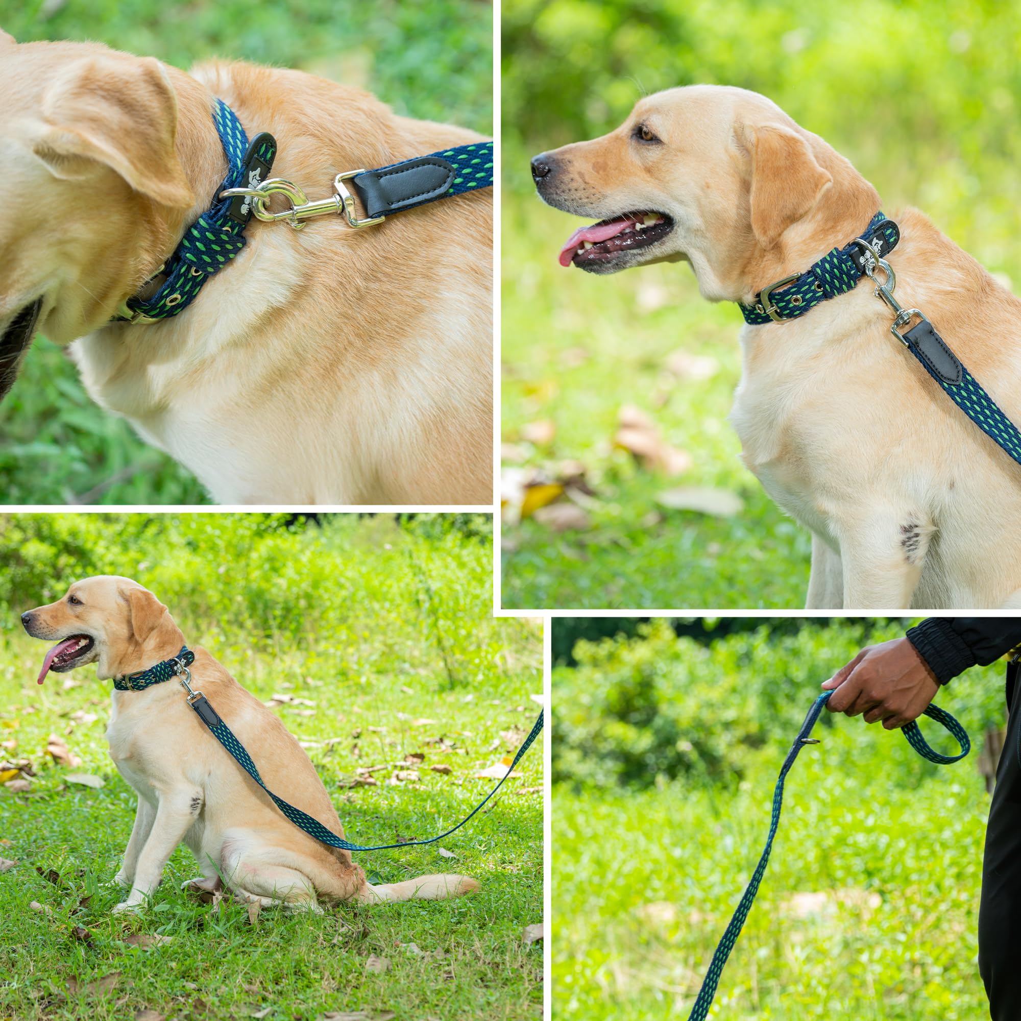 Adil’s 5ft Cotton Dotted Dog Leash with Leather Grip & 360° Swivel Hook – Durable, Comfy & Tangle-Free for All Dog Sizes