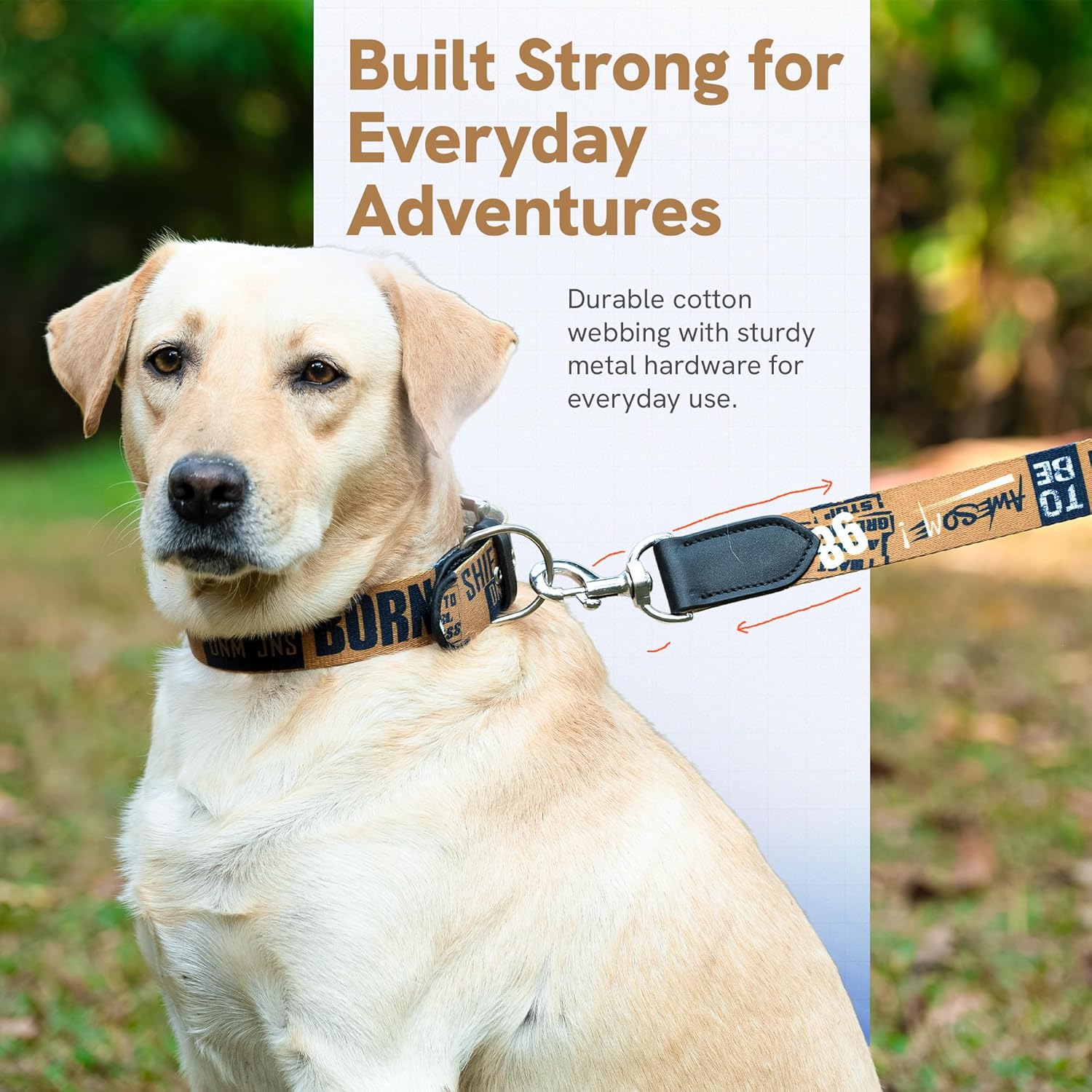 ADIL's Handcrafted Cotton Dog Collar – Premium Graffiti Printed Webbing Neckbelt with Heavy-Duty Metal Buckle & Strong D-Ring Adjustable Neckband for Small Medium Large Dogs