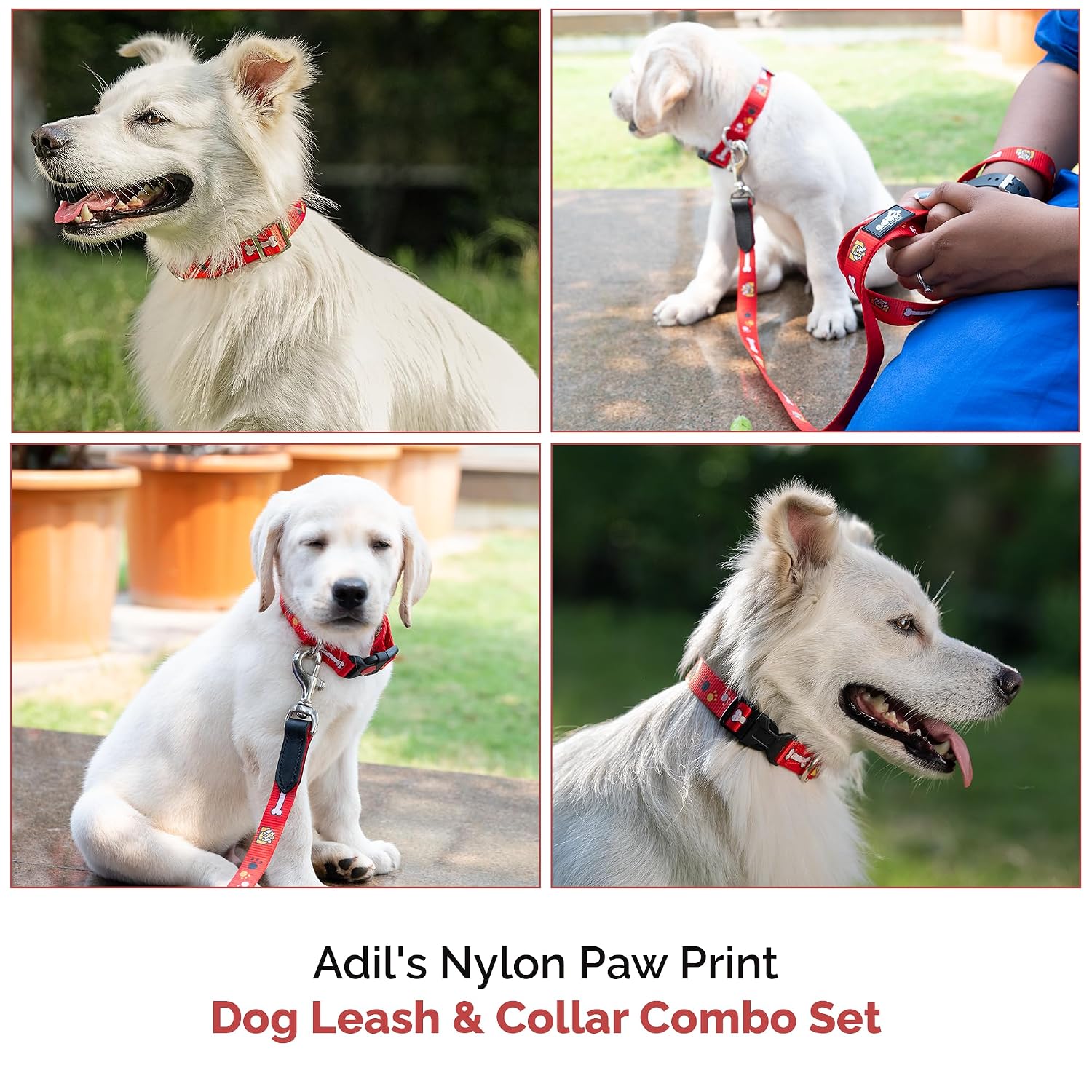 Adil's Nylon Paw Print Dog Collar & Leash Combo Set Quick Release Buckle 360° Swivel Hook Leather Accents 0.75 Inch Collar 5Ft Lead Walking Training for Small Medium Pets