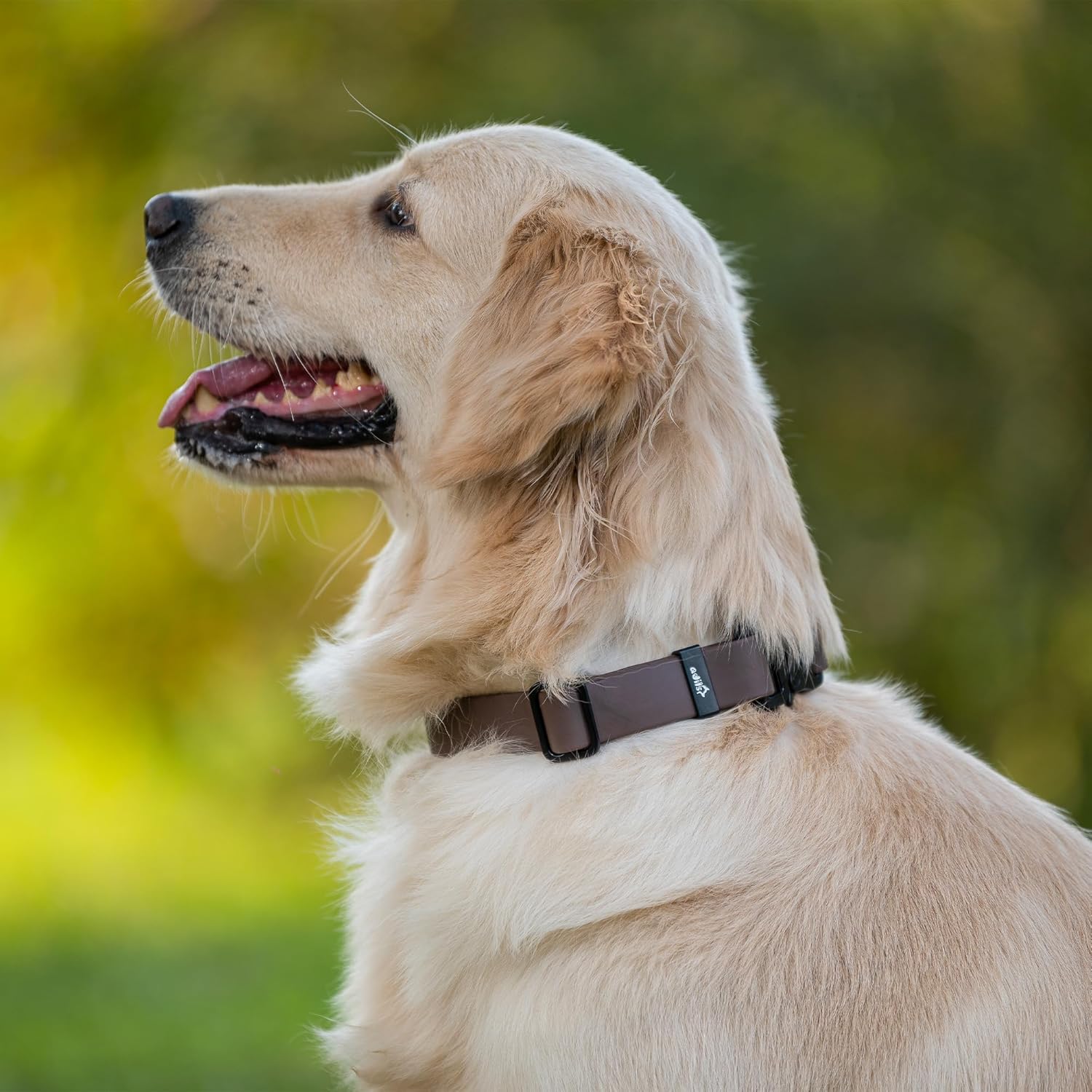 Adil’S Biothane Dog Collar - Waterproof Heavy Duty Dog Collars with Quick Release Buckle & D-Ring