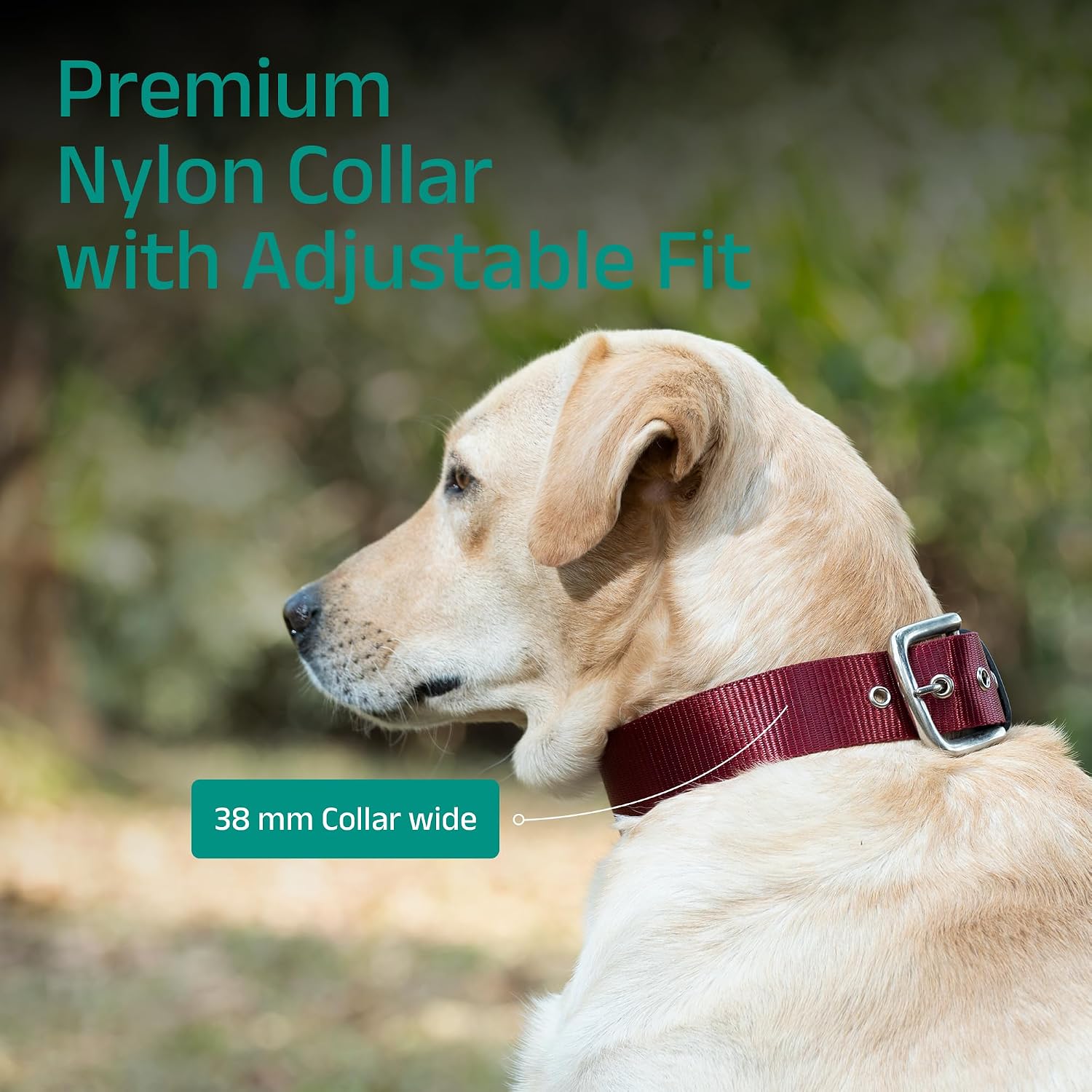 ADIL's Nylon Dog Collar – 1.5 Inch Wide Heavy-Duty Neckbelt with Metal Buckle D-Ring, Adjustable Safety Strap Small Medium Large Pets for Outdoor Walking Training
