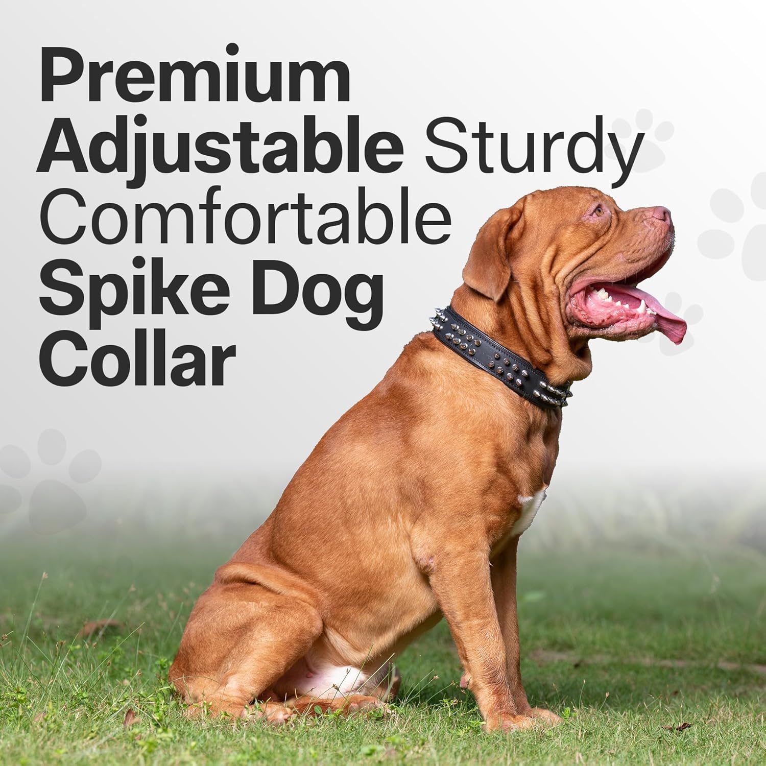 ADIL'S Leather Dog Collar With Spike, Adjustable Metal Buckle Studded Collars For Small, Medium, & Large Dog With D Ring, Width: 38Mm