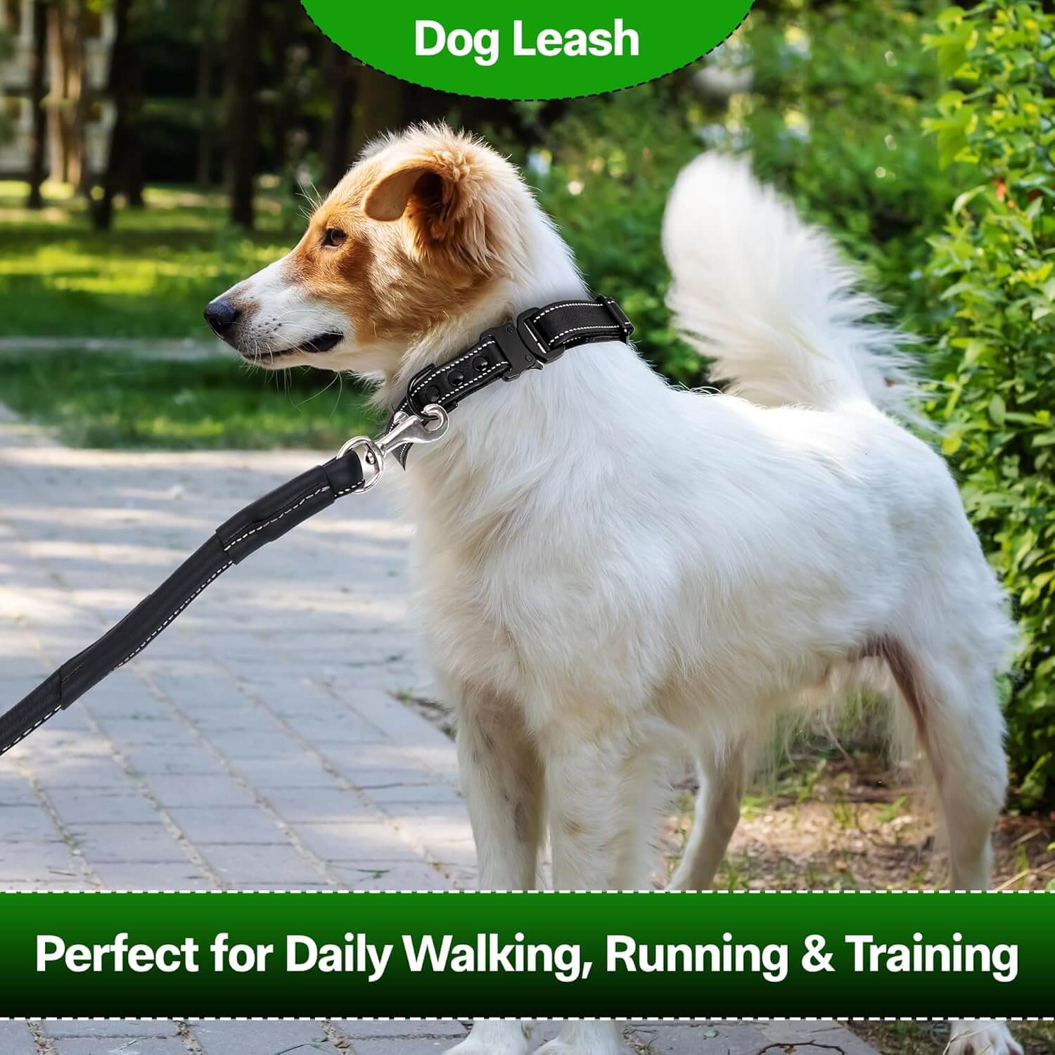Adil’S Premium Rolled NDM Softy Leather Dog Leashes - 5 Feet Length