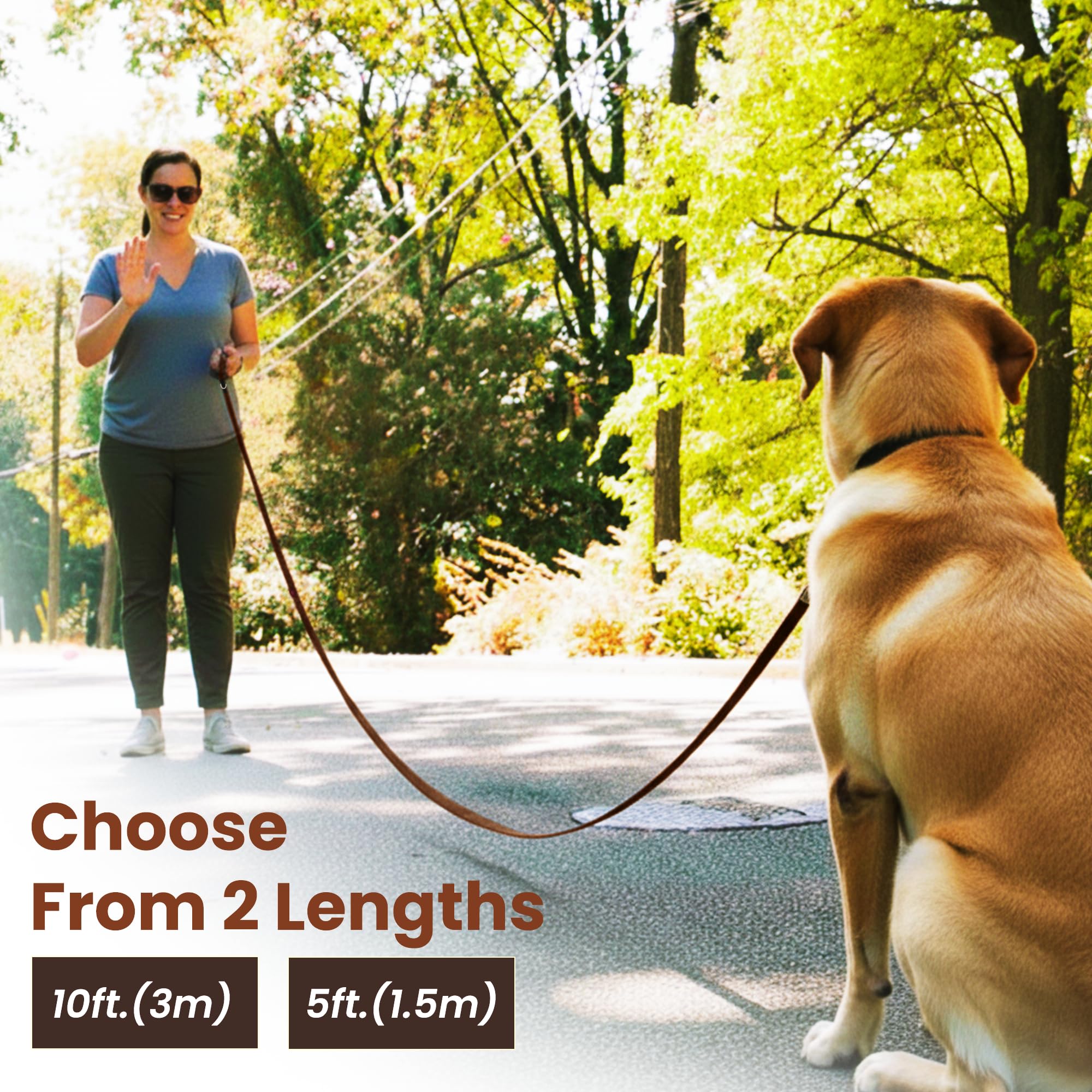 Adil’s 10FT Adjustable Dog Leash Features a Soft Leather Handle, Strong Nylon, and a 360° Swivel Hook—Durable, Comfy, and Ideal for Small to Large Dogs.