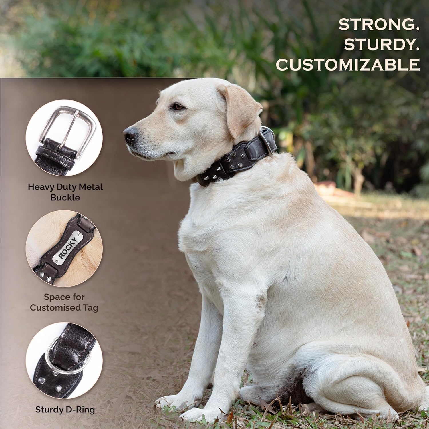 Adil's Personalized Softy Premium Leather Spiked Dog Collar – 1.5 Inch Wide Loop Design Heavy Duty Soft Padded Neckbelt, Sturdy Stainless Steel Buckle & D-Ring for Small, Medium & Large Pets