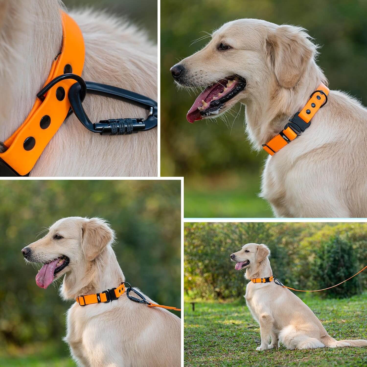 Biothane Combo Dog Collar & Leash