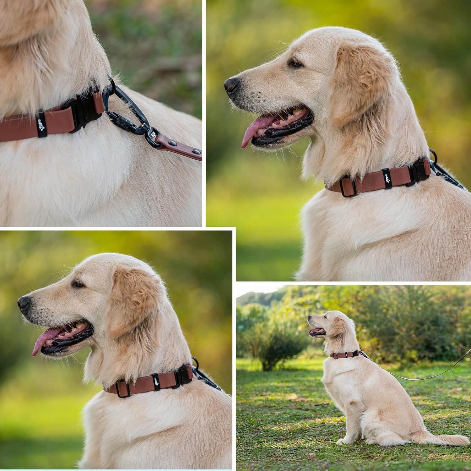 Biothane Combo Dog Collar & Leash