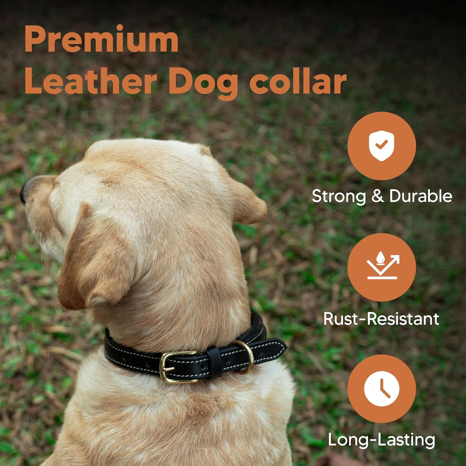 ADIL'S Handcrafted Leather Dog Collar – Basket Weave Braided Design Neckbelt with Brass Buckle & D-Ring for Small Medium Large Dogs, Black 1 Inch