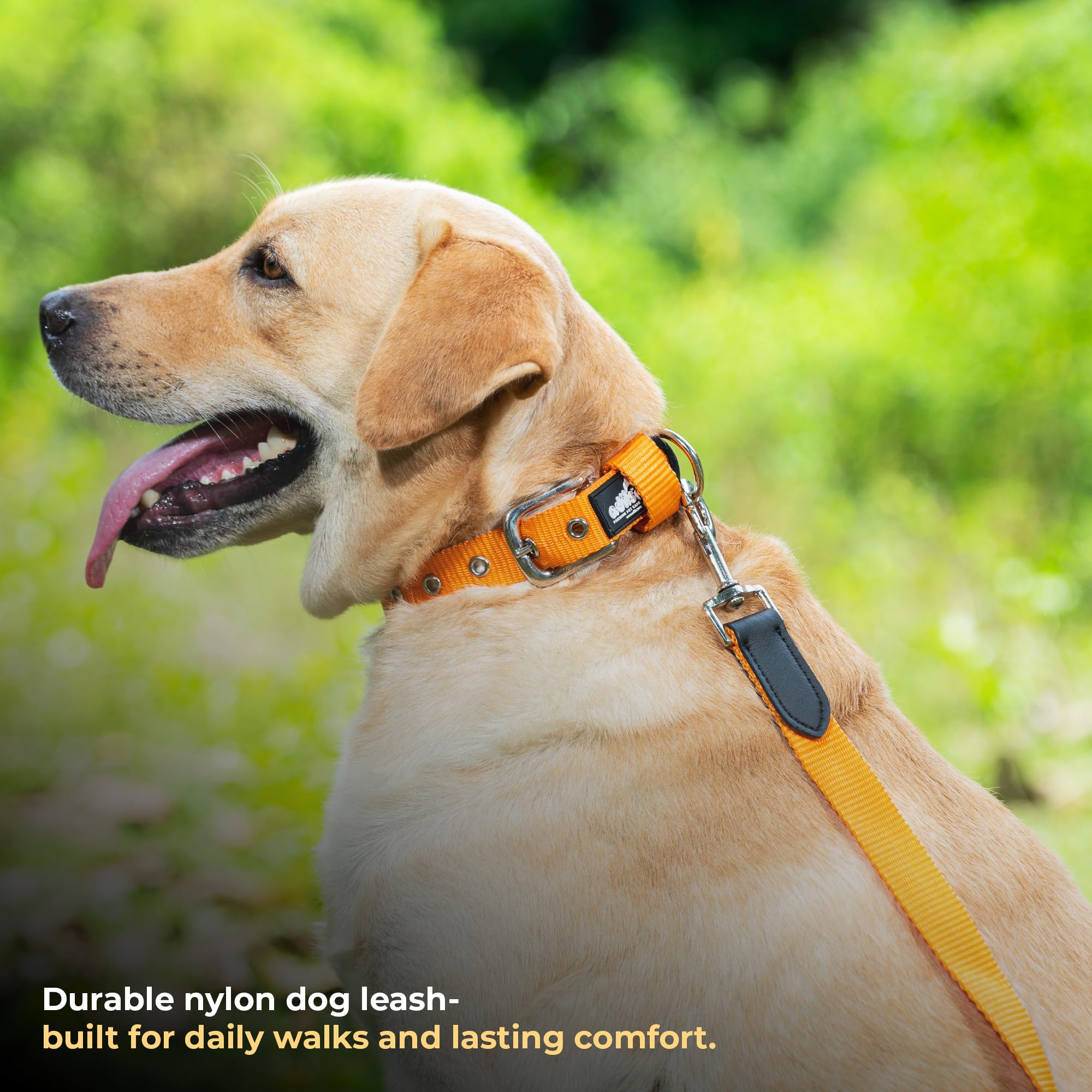 Adil’s 5FT Adjustable Nylon Dog Leash with Soft Leather Handle – Durable Long Lead with 360° Swivel Hook – Strong, Tangle-Free Leash for Walking & Training Small, Medium & Large Dogs