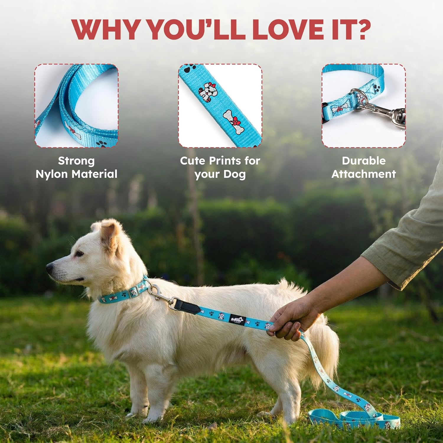 Adil's Nylon Paw Print Dog Collar & Leash Combo Set Quick Release Buckle 360° Swivel Hook Leather Accents 0.75 Inch Collar 5Ft Lead Walking Training for Small Medium Pets
