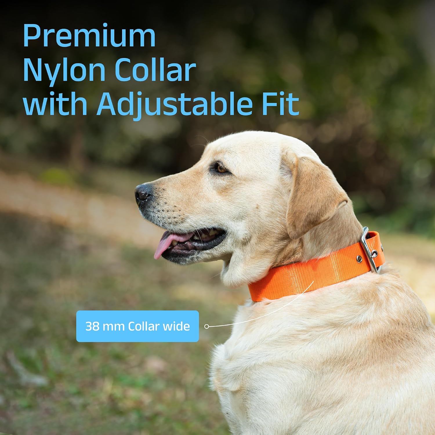 ADIL's Nylon Dog Collar – 1.5 Inch Wide Heavy-Duty Neckbelt with Metal Buckle D-Ring, Adjustable Safety Strap Small Medium Large Pets for Outdoor Walking Training