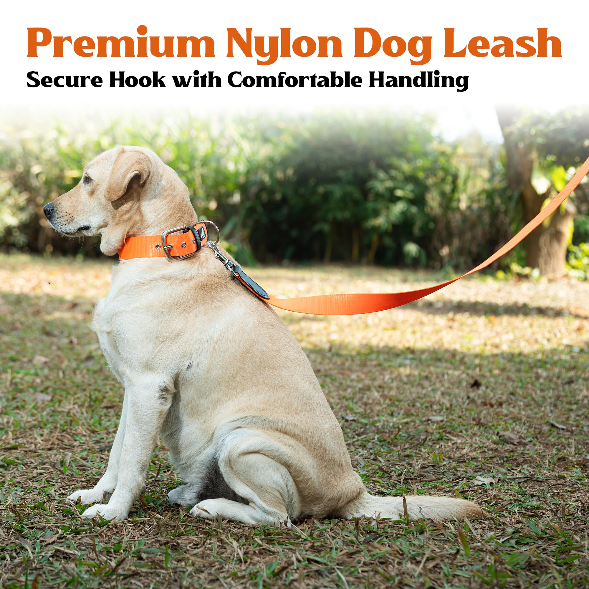 ADIL's Nylon Dog Leash, Heavy Duty Walking Lead with 360° Swivel Metal Hook 1.5 Inch Wide Durable Training Cord with Comfortable Loop Handle for Medium Large Dogs