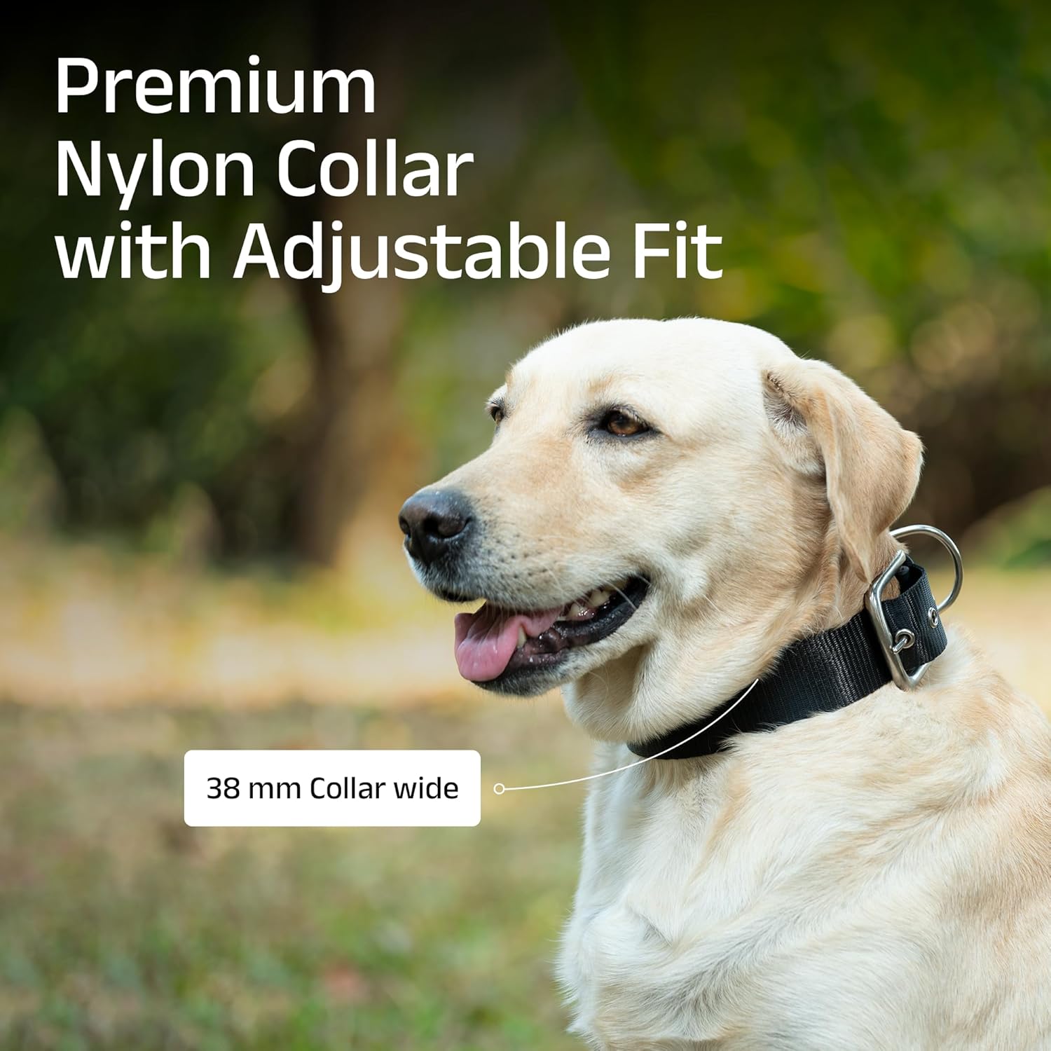 ADIL's Nylon Dog Collar – 1.5 Inch Wide Heavy-Duty Neckbelt with Metal Buckle D-Ring, Adjustable Safety Strap Small Medium Large Pets for Outdoor Walking Training