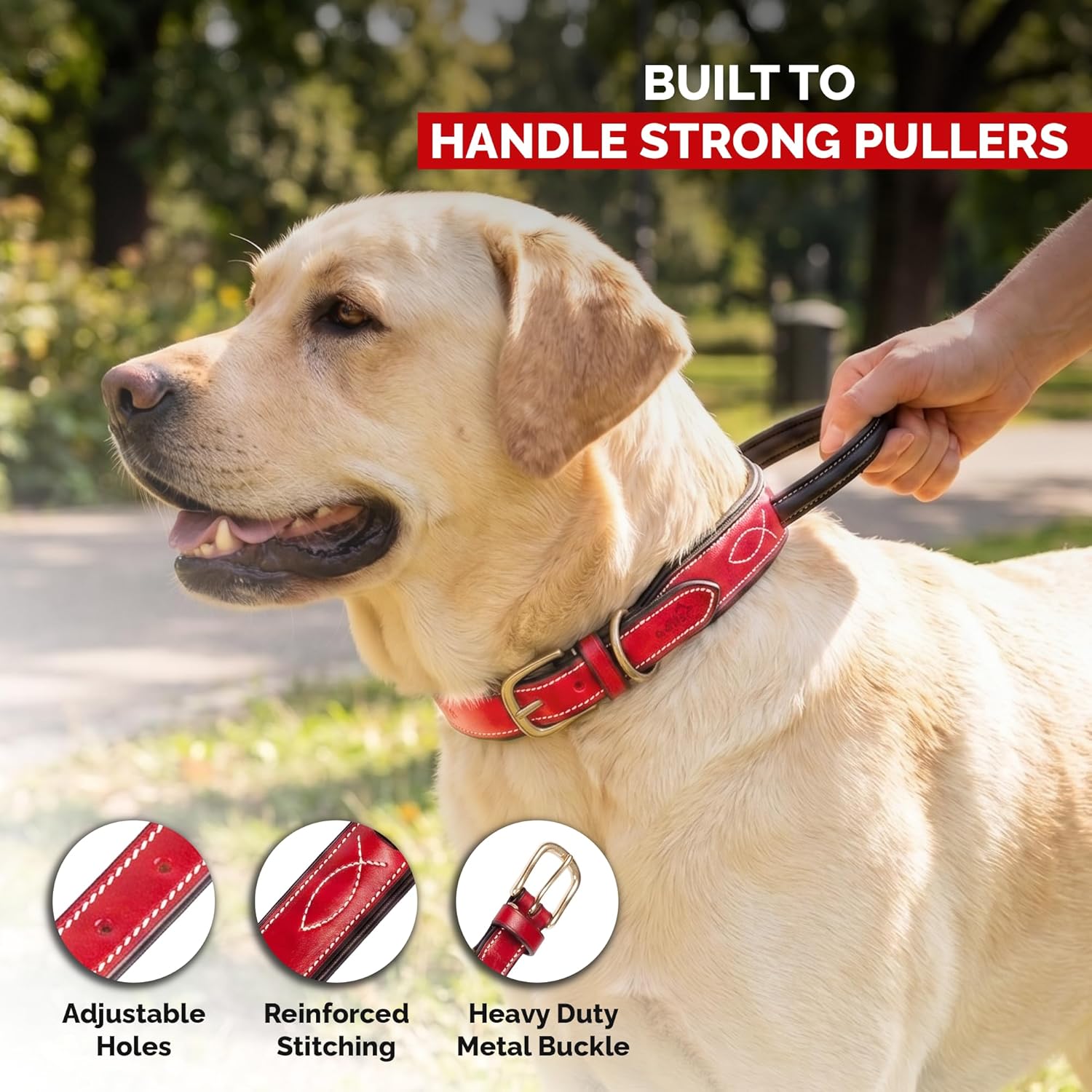 Adil's Softy Leather Dog Collar with Control Handle 1.5 inch Wide Built-in Quick Grab Leather Pull Strap, Heavy Duty Dual D-Ring Neckbelt for Medium & Large Dogs