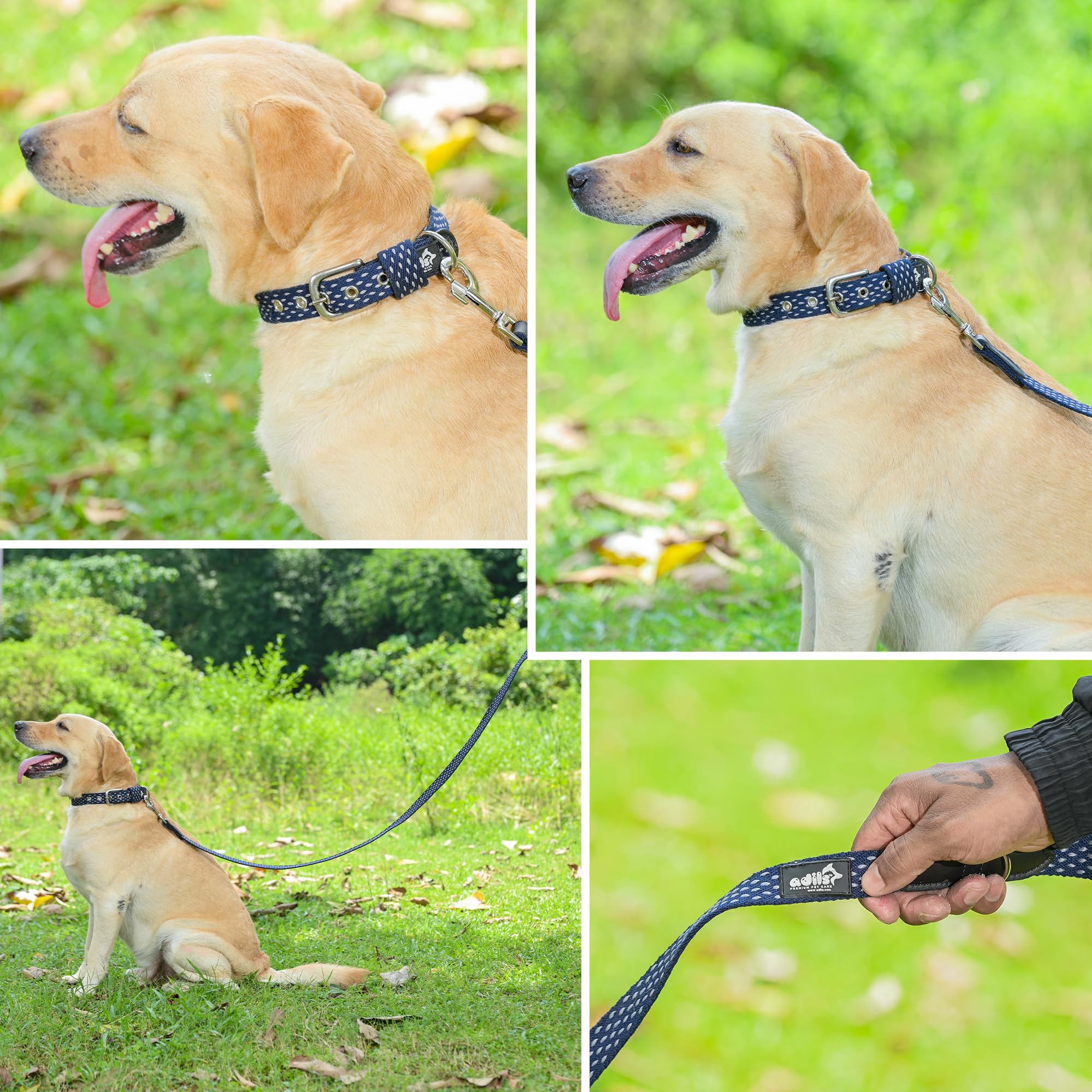 Adil’s 5ft Cotton Dotted Dog Leash with Leather Grip & 360° Swivel Hook – Durable, Comfy & Tangle-Free for All Dog Sizes