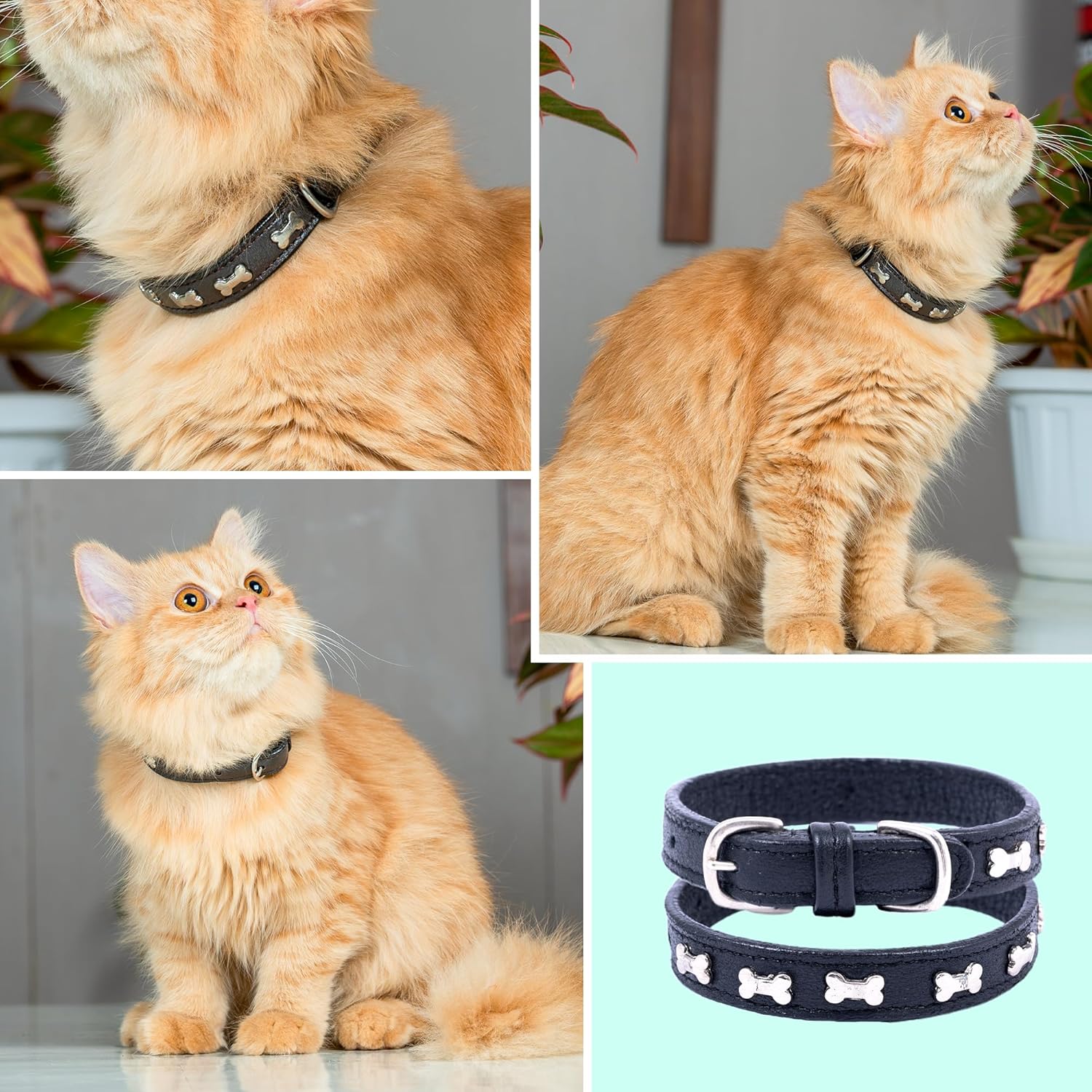 Adil’S Leather Cat Collar - Stylish Six Bone Studded Design, Breakaway Soft pet Collar, Adjustable Metal Buckle with Strong D-Ring for Leash attachments,Comfortable & Secure (Black)