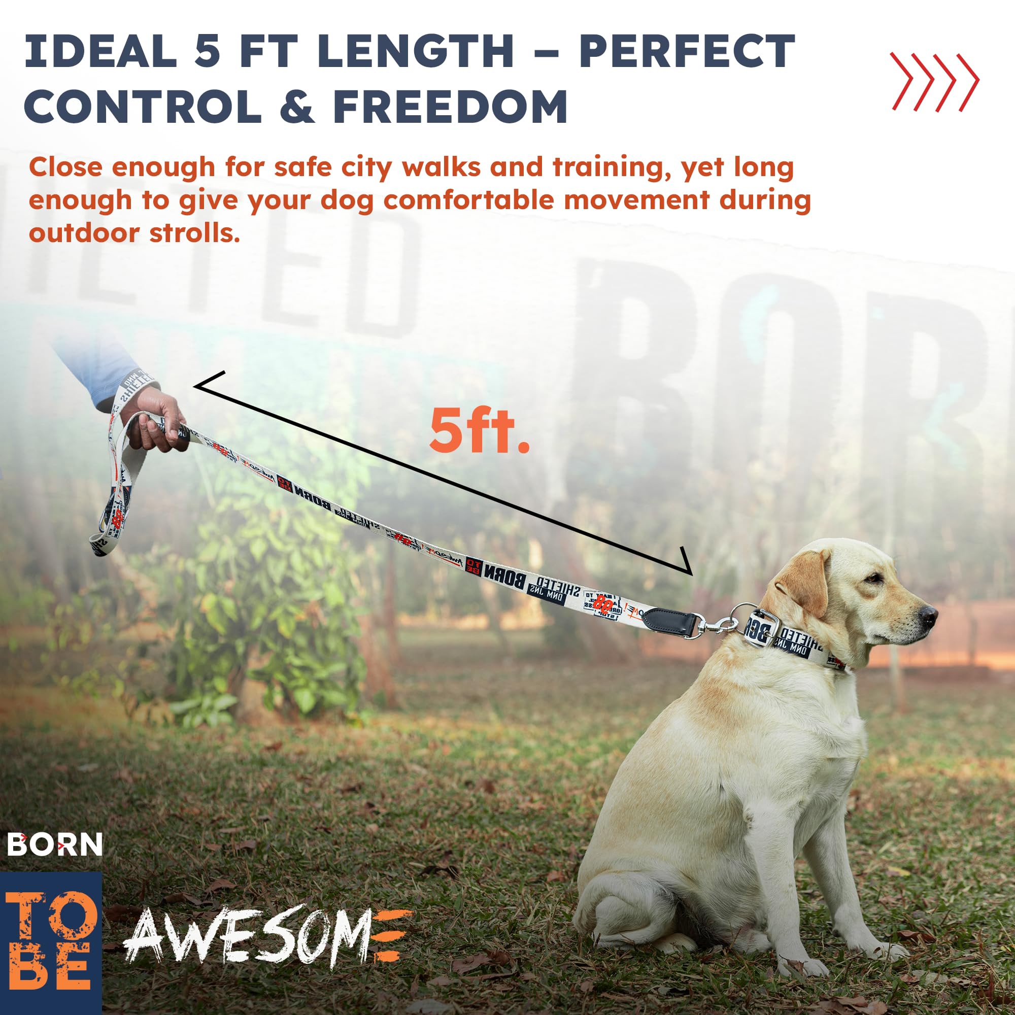 ADIL's Handcrafted Cotton Dog Leash – Premium Graffiti Printed Webbing Pet Walking Lead with Soft Loop Handle 360° Chrome Swivel Hook Strong Metallic D-Ring for Small Medium Large Dogs, 5ft