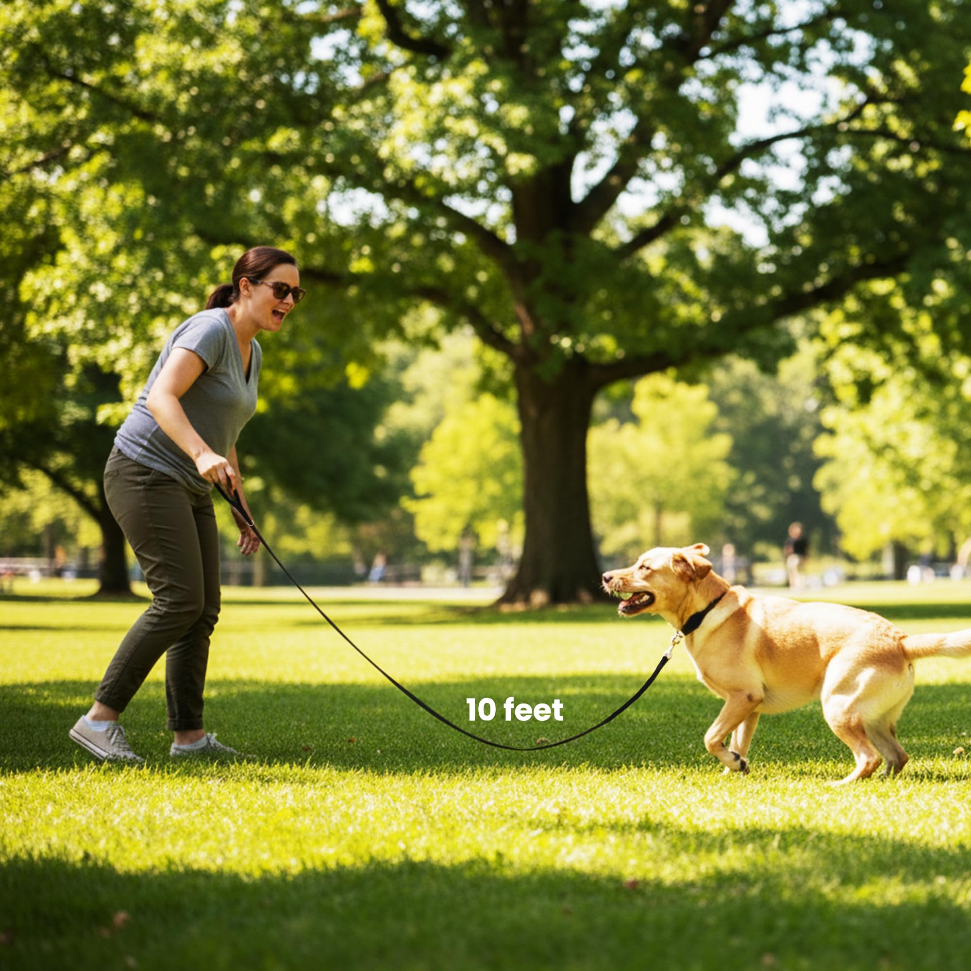 Adil’s 10FT Adjustable Dog Leash Features a Soft Leather Handle, Strong Nylon, and a 360° Swivel Hook—Durable, Comfy, and Ideal for Small to Large Dogs.