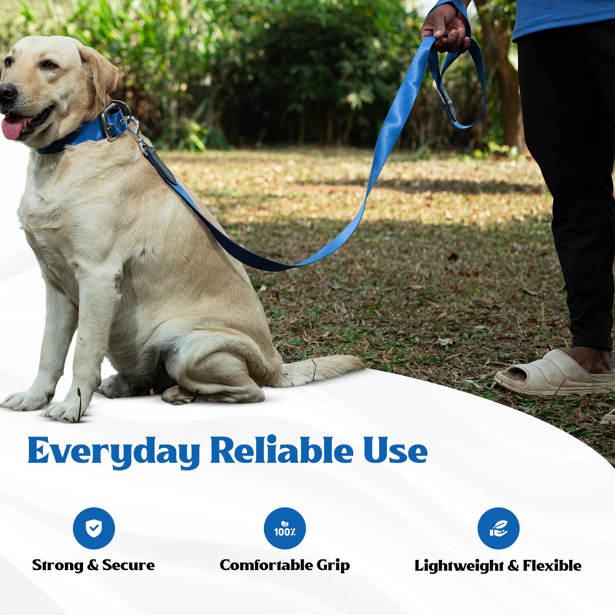 ADIL's Nylon Dog Leash, Heavy Duty Walking Lead with 360° Swivel Metal Hook 1.5 Inch Wide Durable Training Cord with Comfortable Loop Handle for Medium Large Dogs