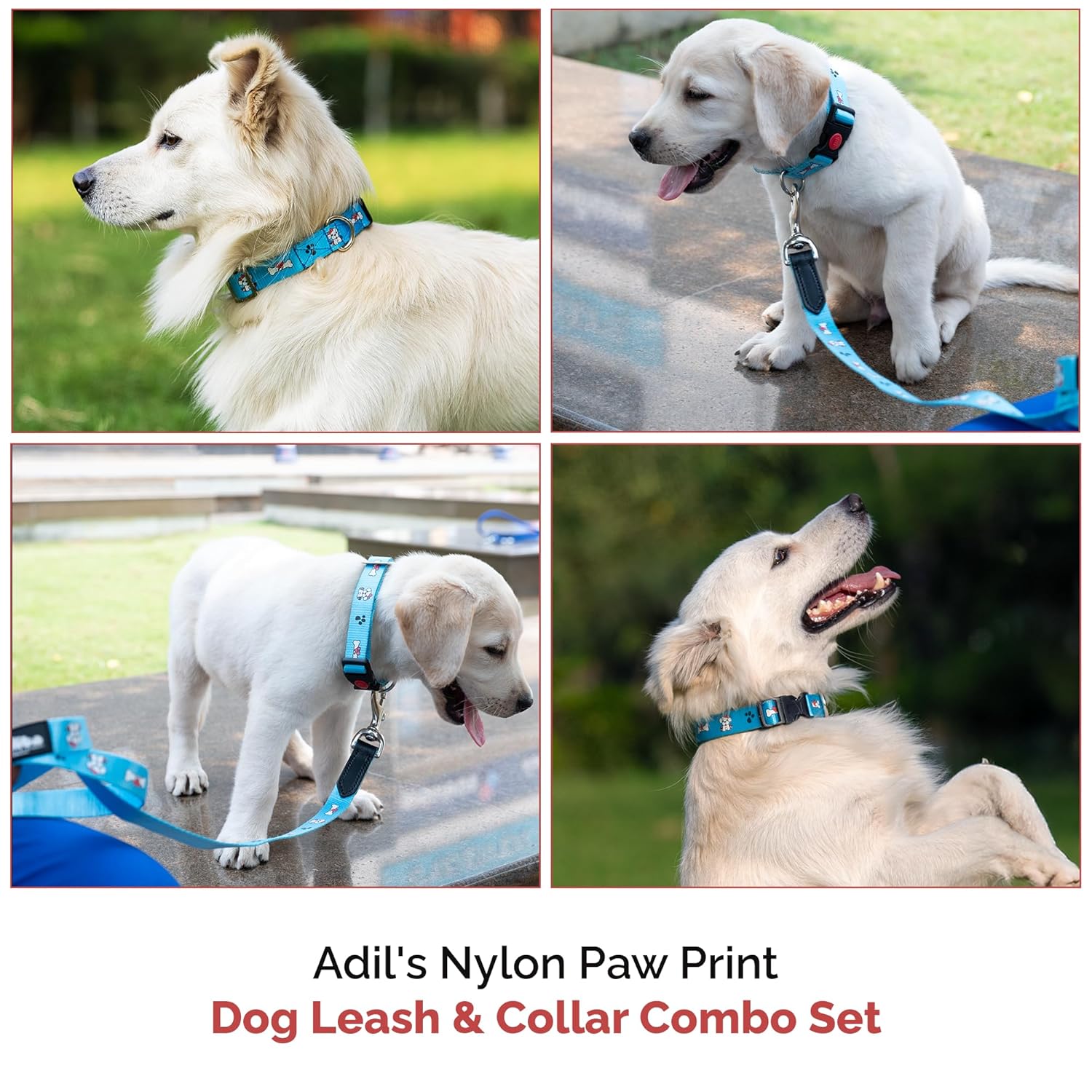 Adil's Nylon Paw Print Dog Collar & Leash Combo Set Quick Release Buckle 360° Swivel Hook Leather Accents 0.75 Inch Collar 5Ft Lead Walking Training for Small Medium Pets