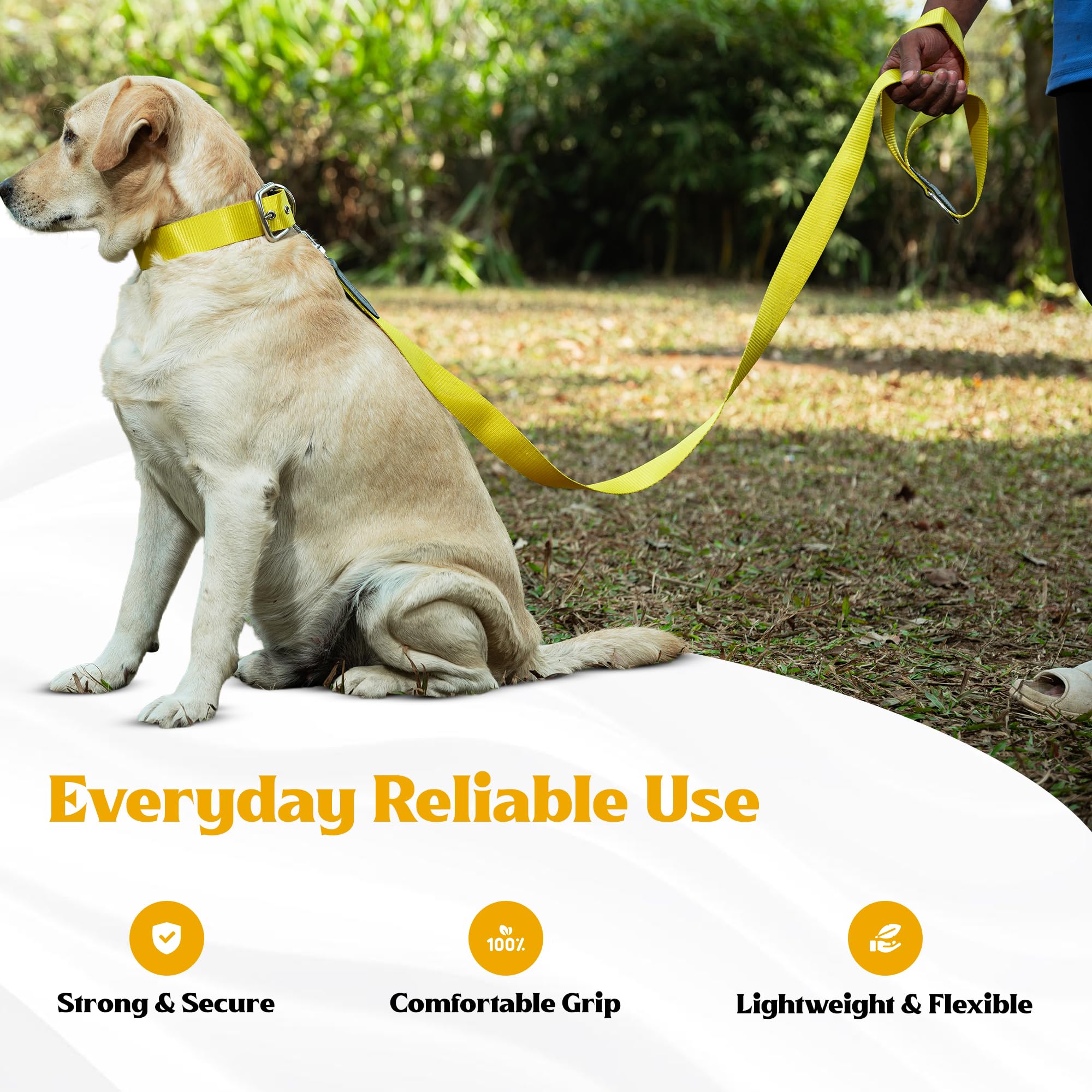 ADIL's Nylon Dog Leash, Heavy Duty Walking Lead with 360° Swivel Metal Hook 1.5 Inch Wide Durable Training Cord with Comfortable Loop Handle for Medium Large Dogs