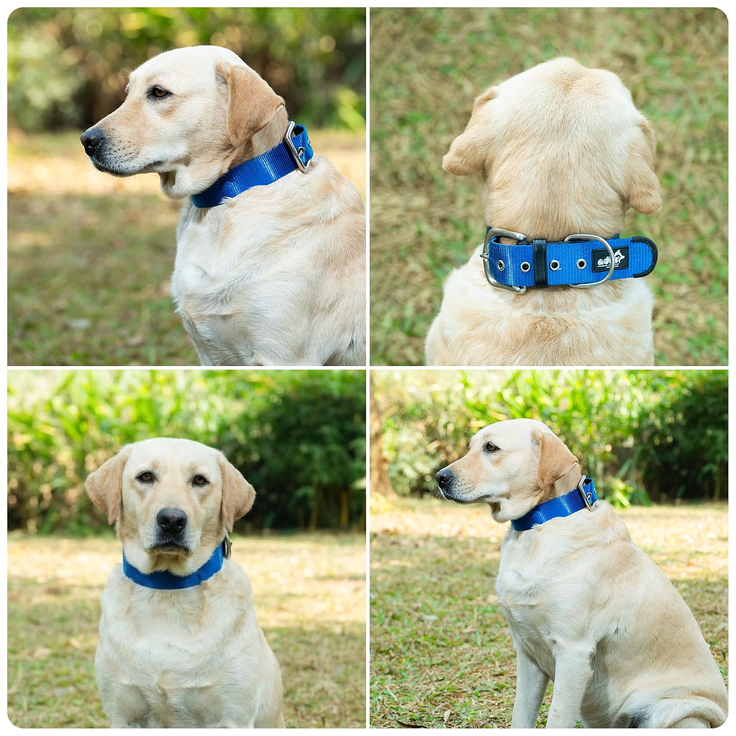 ADIL's Nylon Dog Collar – 1.5 Inch Wide Heavy-Duty Neckbelt with Metal Buckle D-Ring, Adjustable Safety Strap Small Medium Large Pets for Outdoor Walking Training