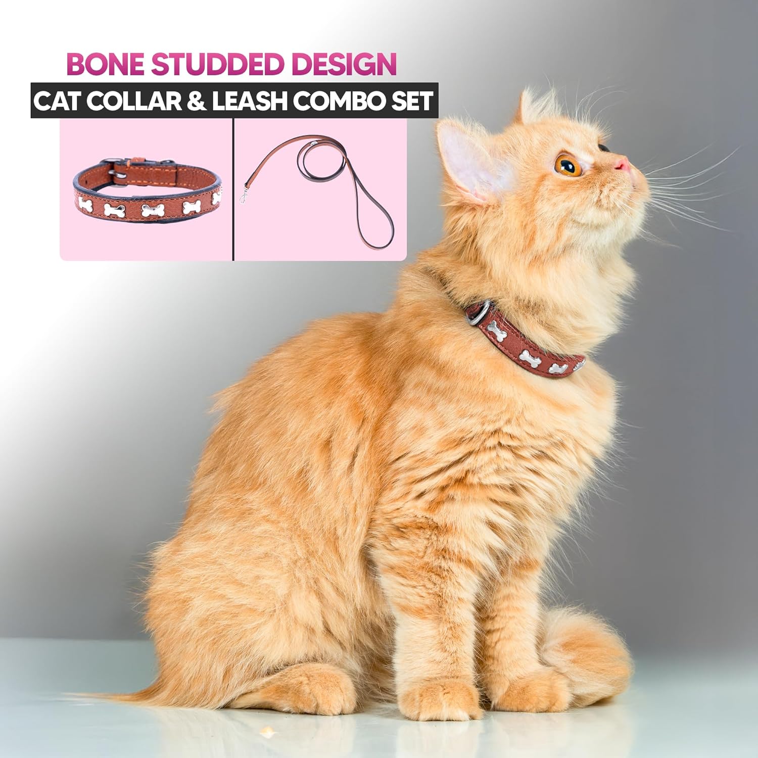 Adil’S Leather Cat Collar & Leash Set - Stylish Six Bone Studded Design Collar, Genuine Leather, Adjustable Buckle & Secure 5ft Leash for Safe and Comfortable Outdoor Activity (Brown)