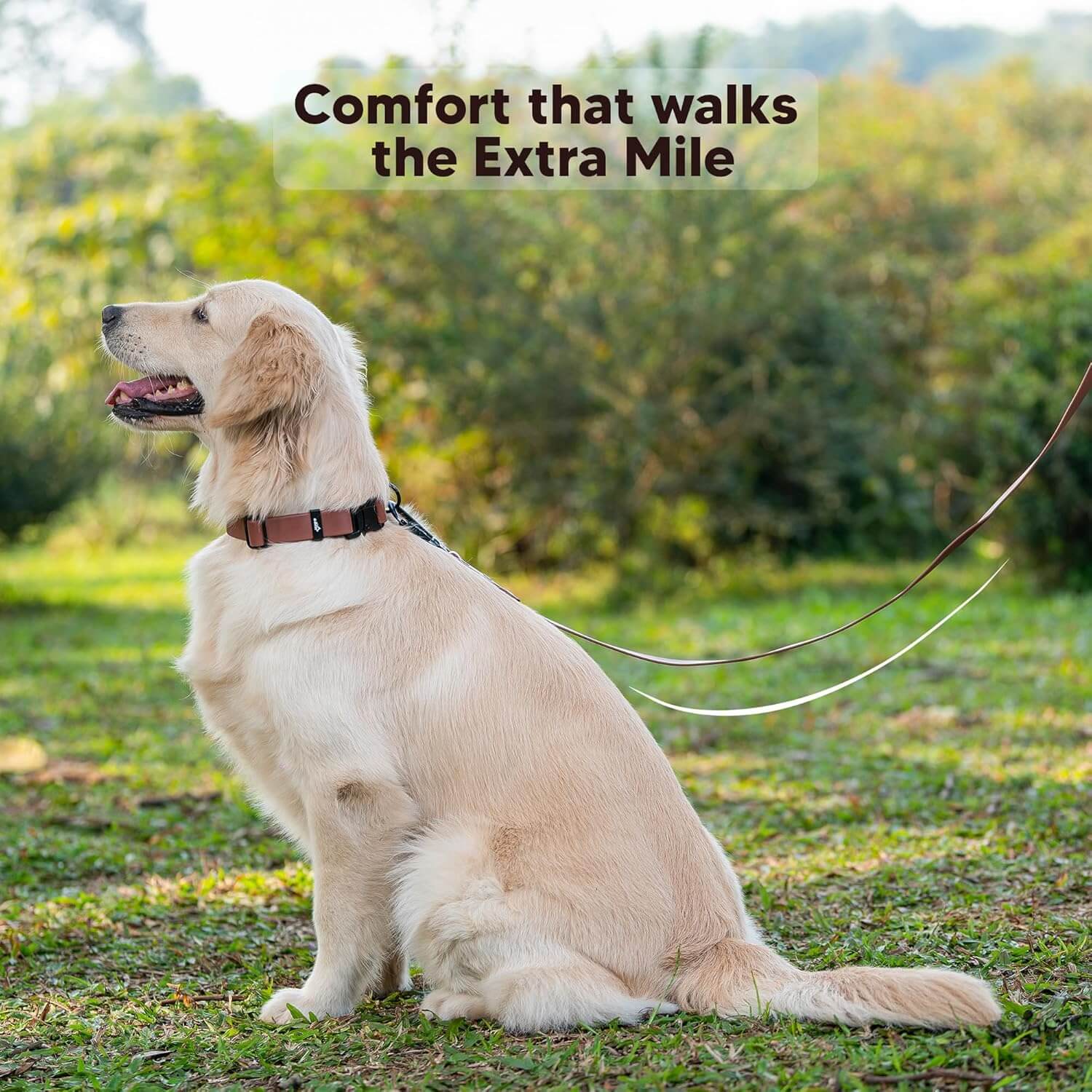 Adil’s Biothane Dog Leash - Waterproof Leashes for Dogs, Metal Hook, Adjustable 5ft Length Suitable for Dogs & Puppies, Ideal for Walking, Running & Training