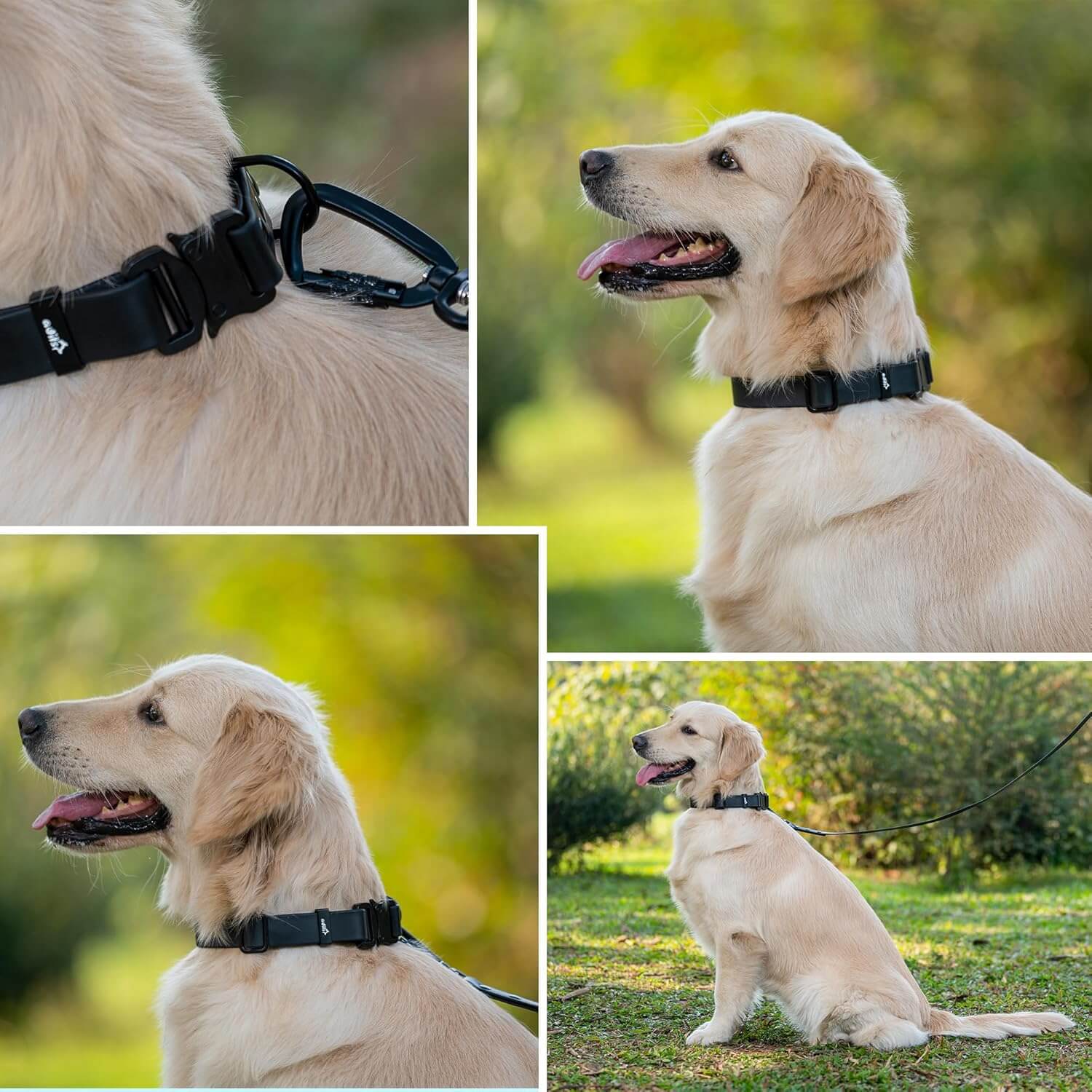 Biothane Combo Dog Collar & Leash