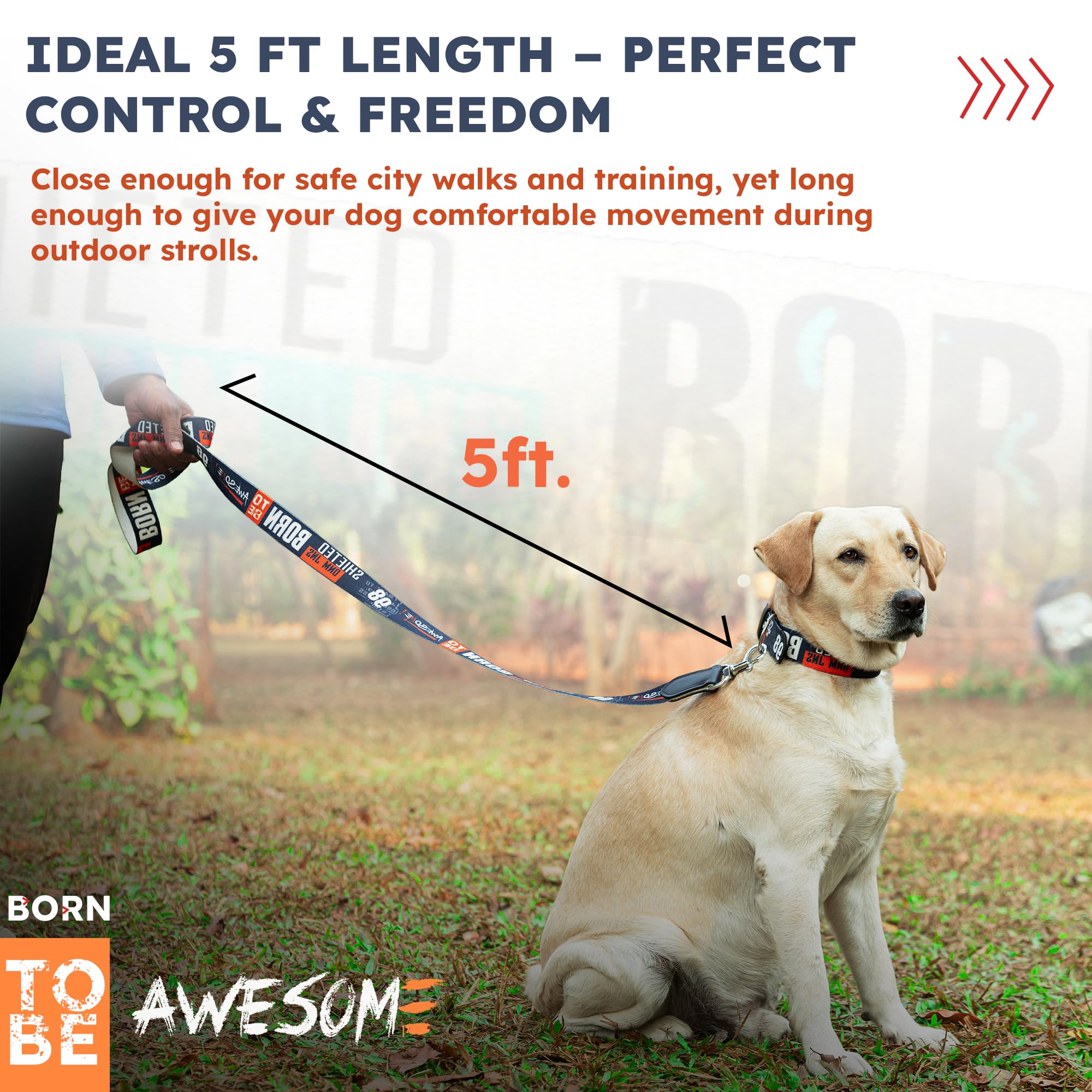 ADIL's Handcrafted Cotton Dog Leash – Premium Graffiti Printed Webbing Pet Walking Lead with Soft Loop Handle 360° Chrome Swivel Hook Strong Metallic D-Ring for Small Medium Large Dogs, 5ft