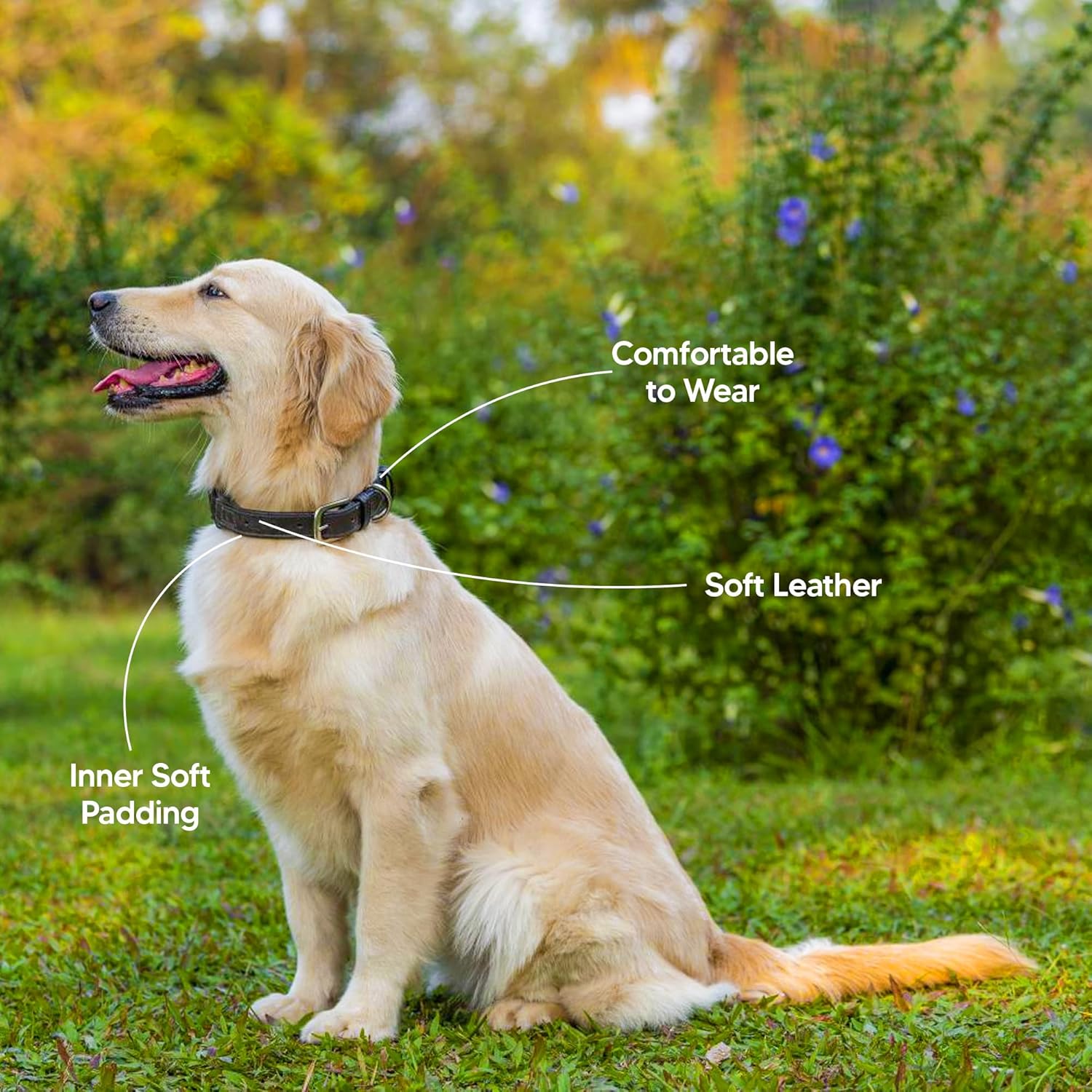 Adil’S Genuine Leather Loop Dog Collar – Handmade, Heavy-Duty, Soft Padded & Adjustable – Durable Braided Leather Collar Dogs