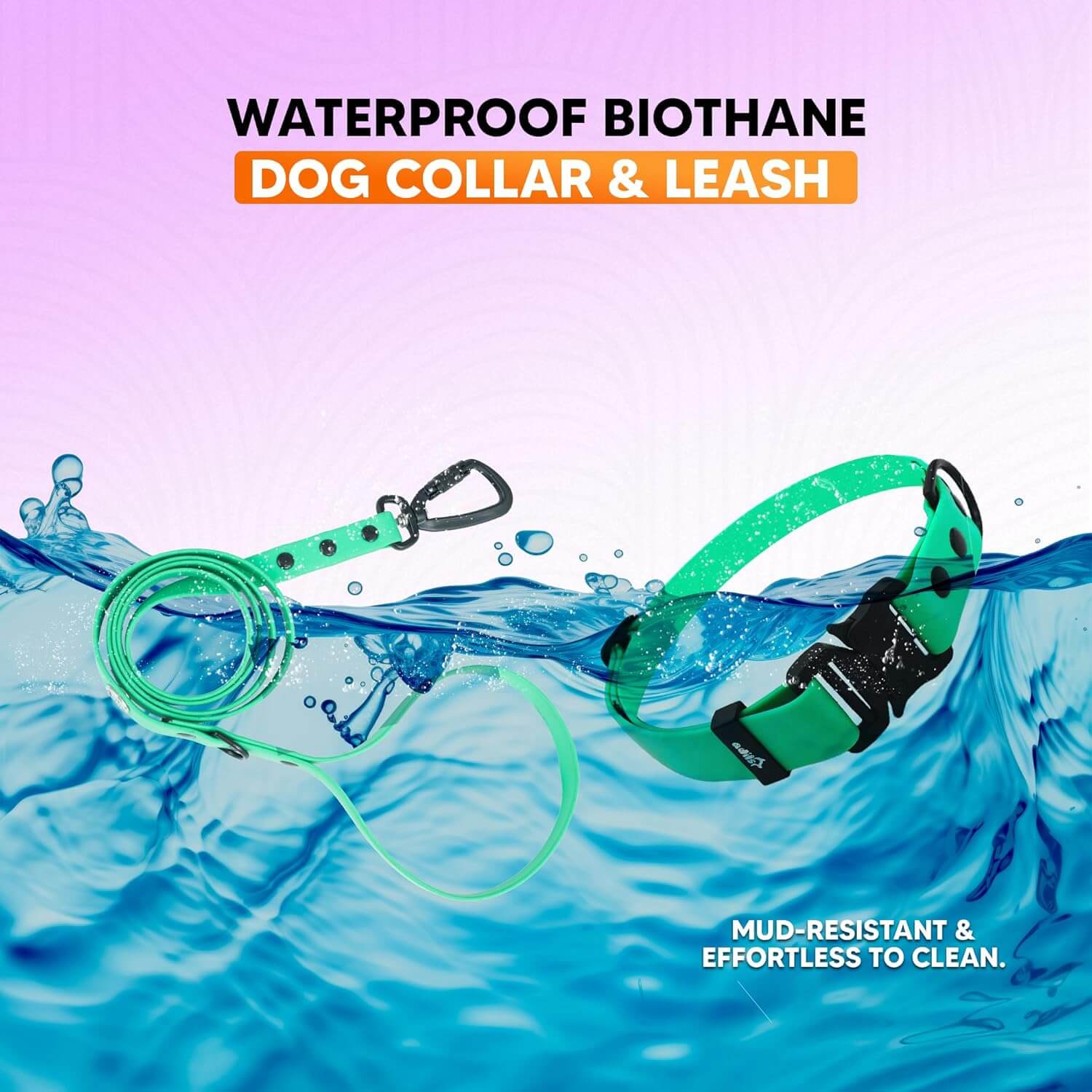 Biothane Combo Dog Collar & Leash
