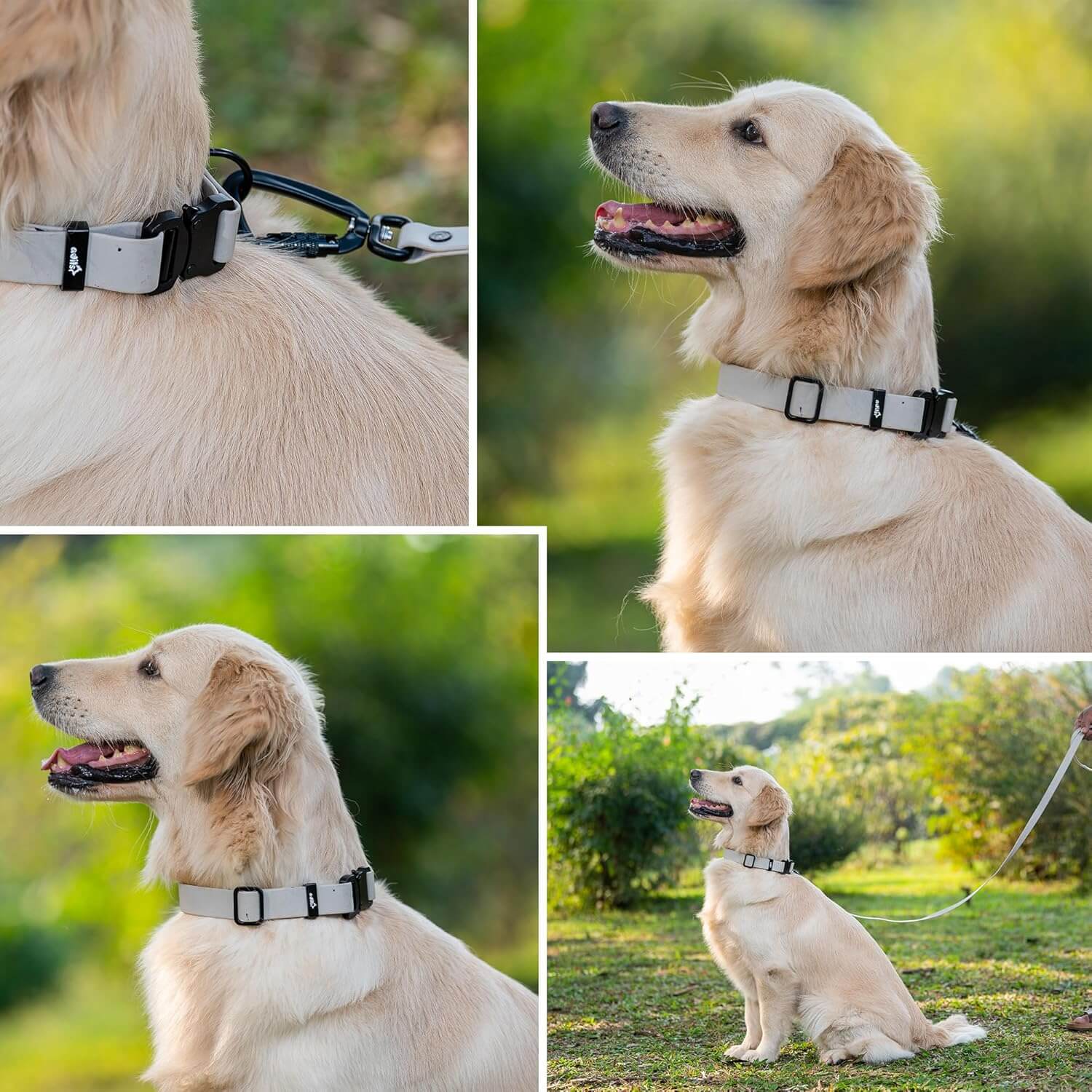Biothane Combo Dog Collar & Leash