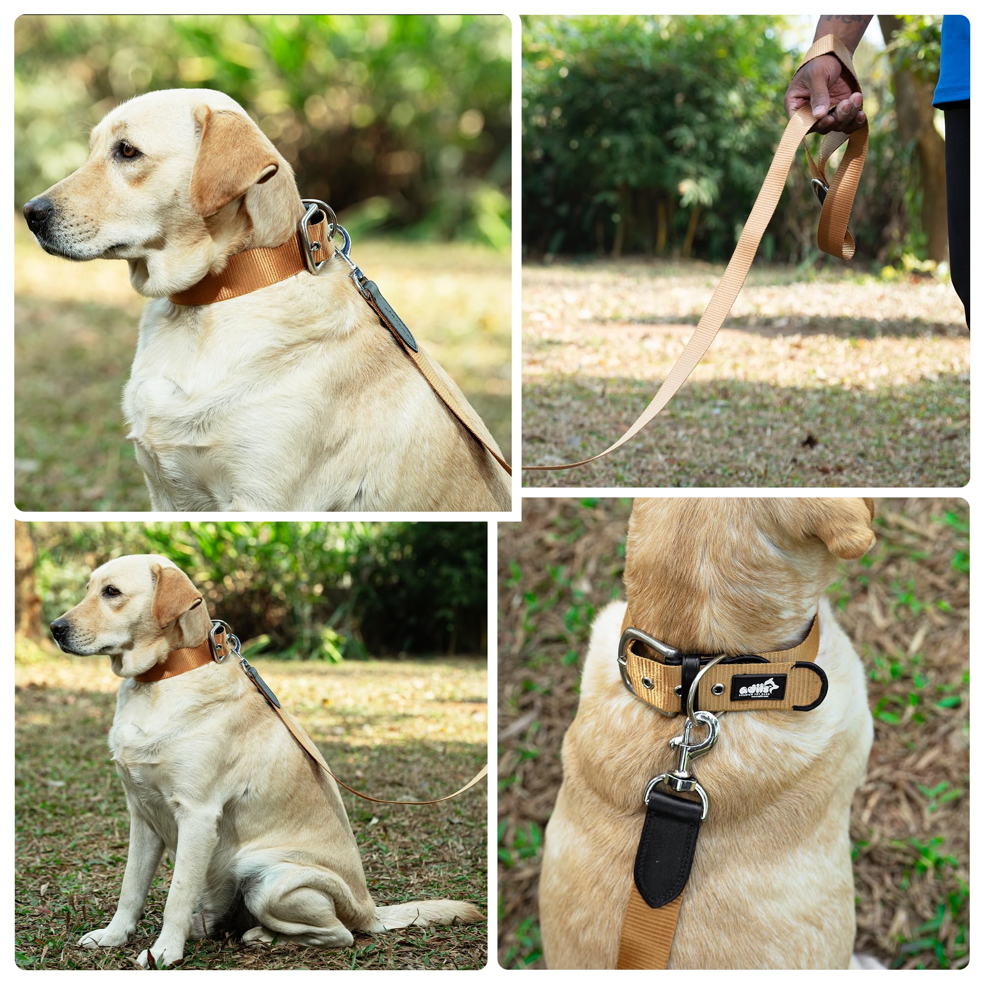 ADIL's Nylon Dog Leash, Heavy Duty Walking Lead with 360° Swivel Metal Hook 1.5 Inch Wide Durable Training Cord with Comfortable Loop Handle for Medium Large Dogs