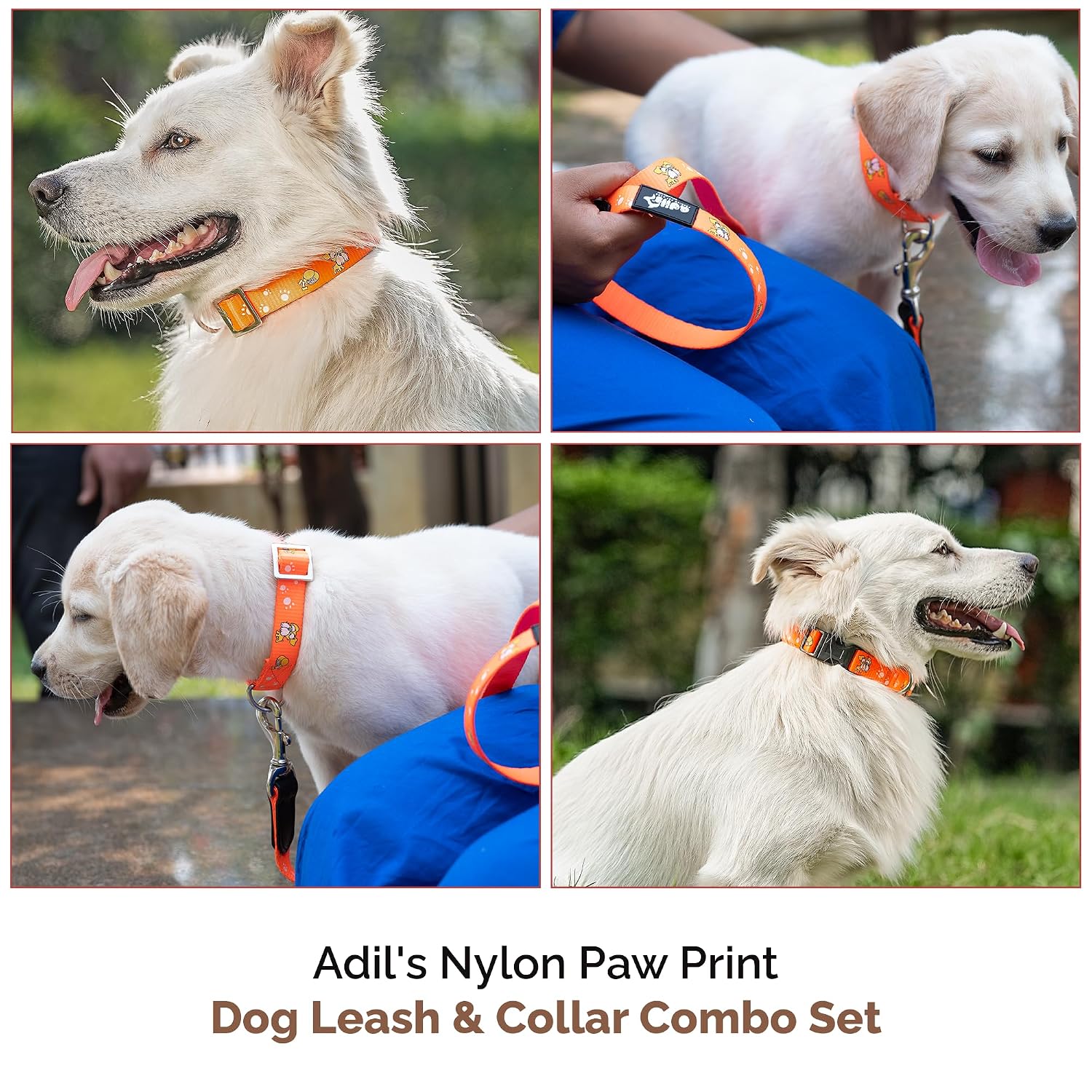 Adil's Nylon Paw Print Dog Collar & Leash Combo Set Quick Release Buckle 360° Swivel Hook Leather Accents 0.75 Inch Collar 5Ft Lead Walking Training for Small Medium Pets