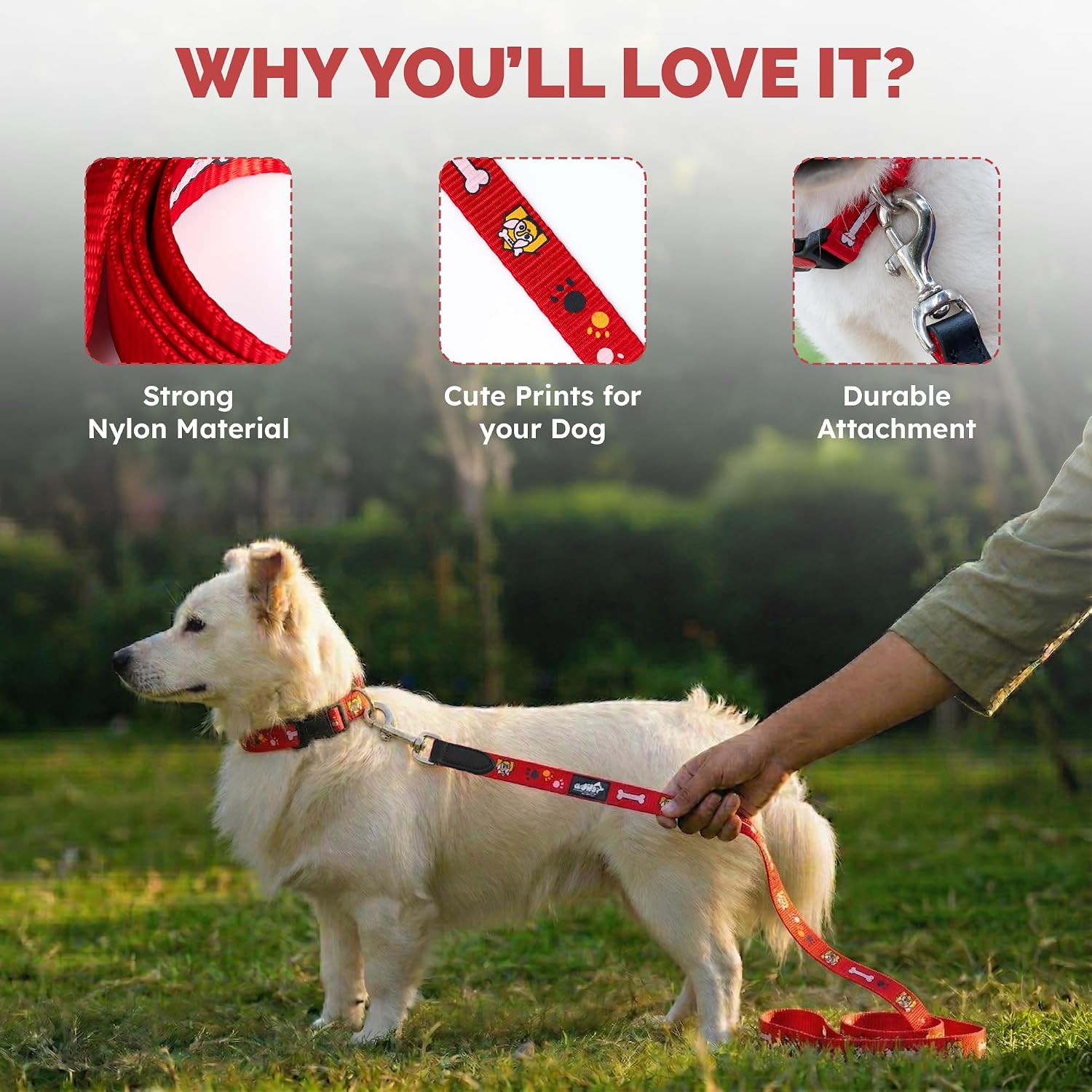 Adil's Nylon Paw Print Dog Collar & Leash Combo Set Quick Release Buckle 360° Swivel Hook Leather Accents 0.75 Inch Collar 5Ft Lead Walking Training for Small Medium Pets
