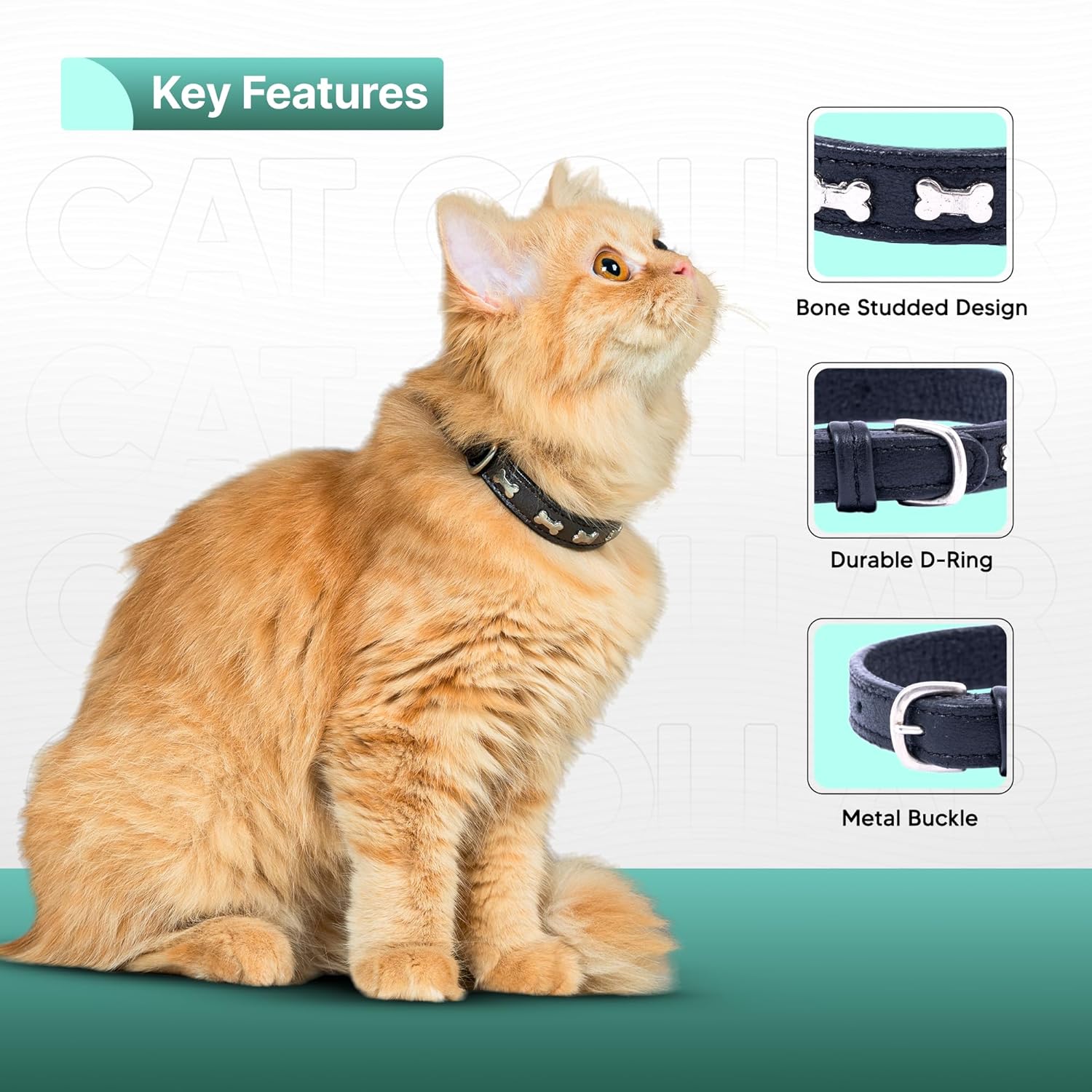 Adil’S Leather Cat Collar - Stylish Six Bone Studded Design, Breakaway Soft pet Collar, Adjustable Metal Buckle with Strong D-Ring for Leash attachments,Comfortable & Secure (Black)