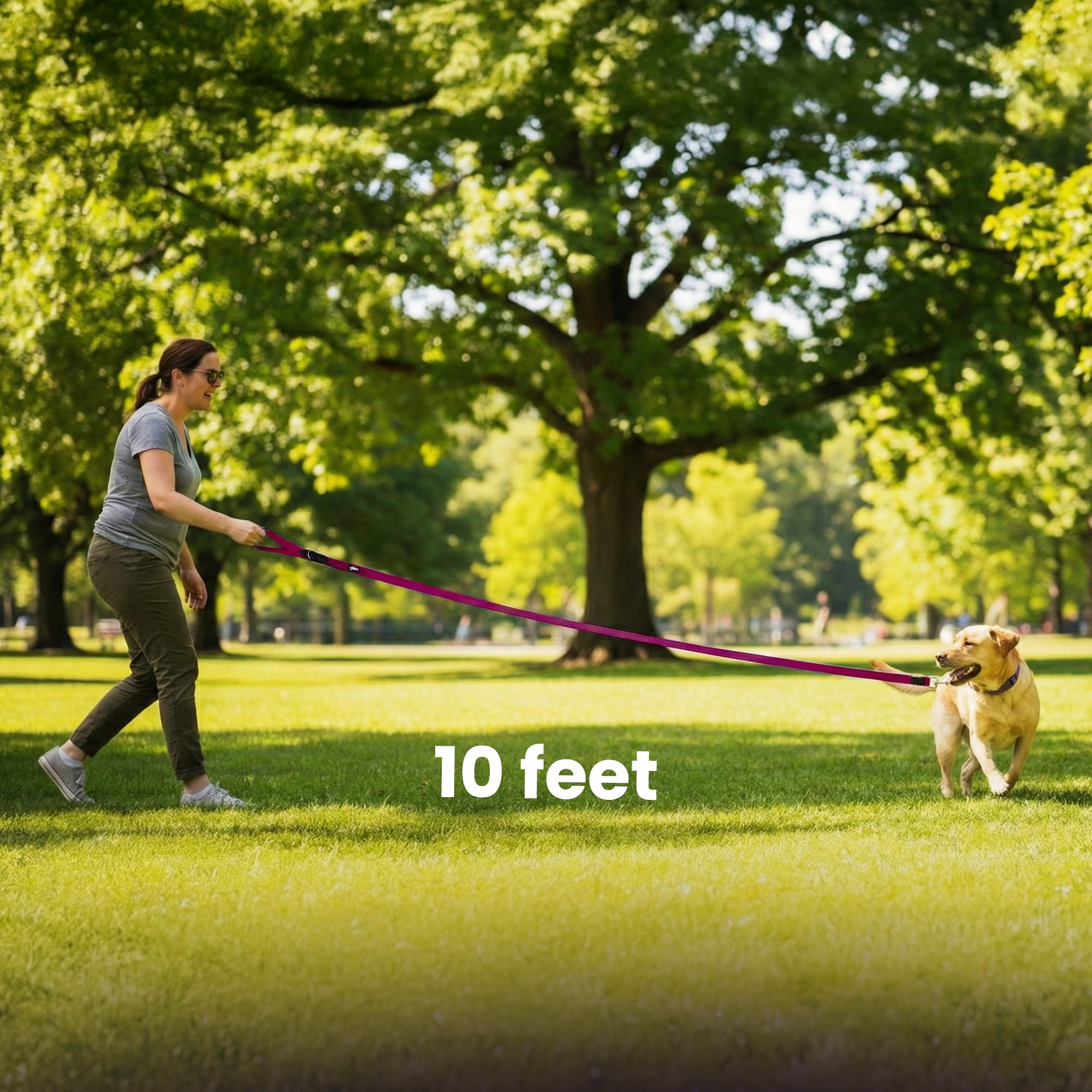 Adil’s 10FT Adjustable Dog Leash Features a Soft Leather Handle, Strong Nylon, and a 360° Swivel Hook—Durable, Comfy, and Ideal for Small to Large Dogs.