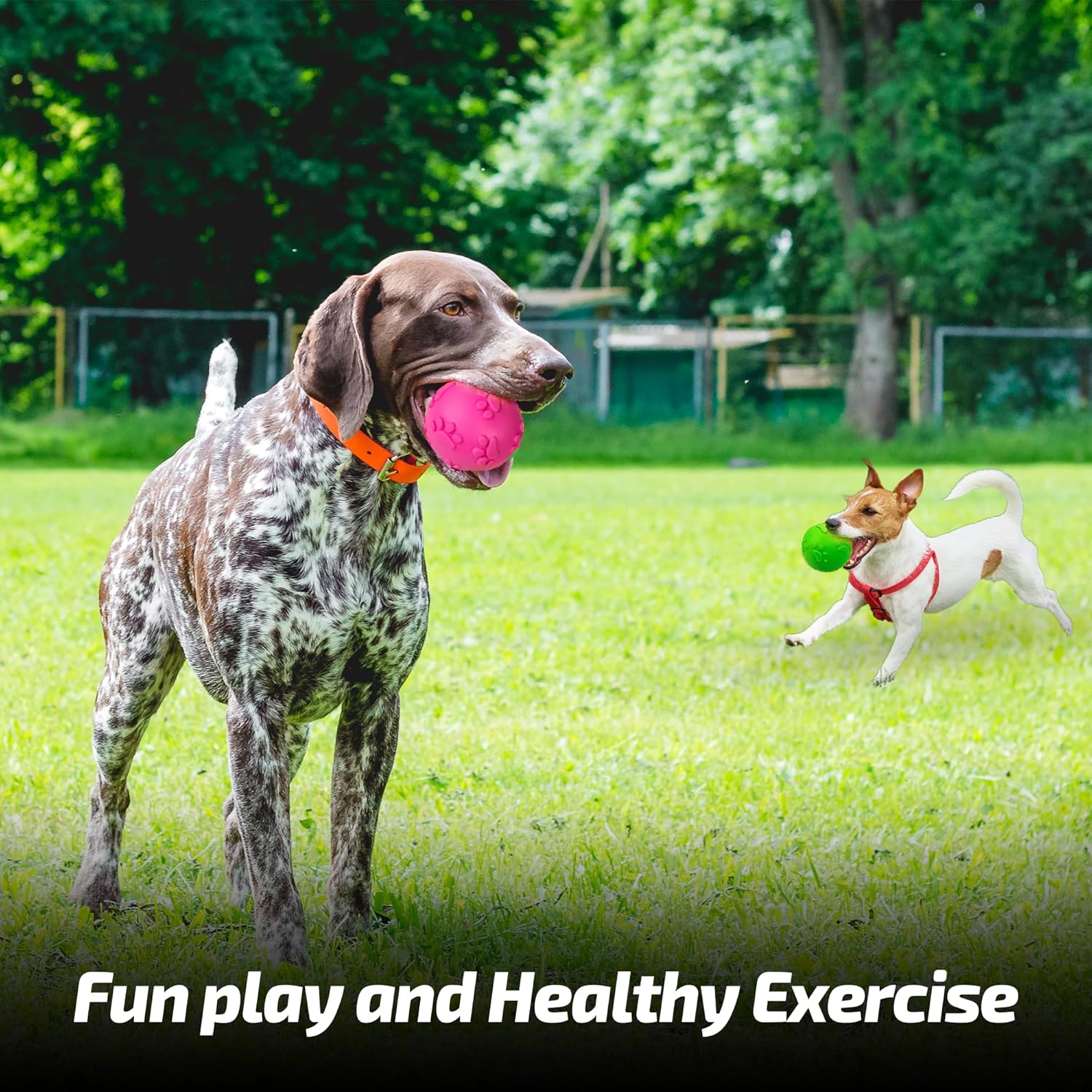 ADIL'S Natural Latex Dog Chews Ball Toy for Small to Medium Dogs & Puppies