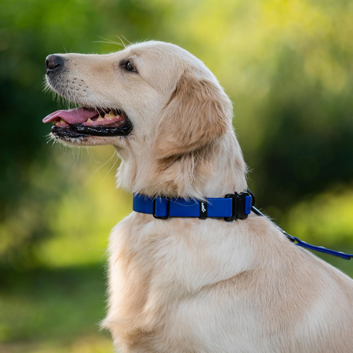 Adil’S Biothane Dog Collar - Waterproof Heavy Duty Dog Collars with Quick Release Buckle & D-Ring
