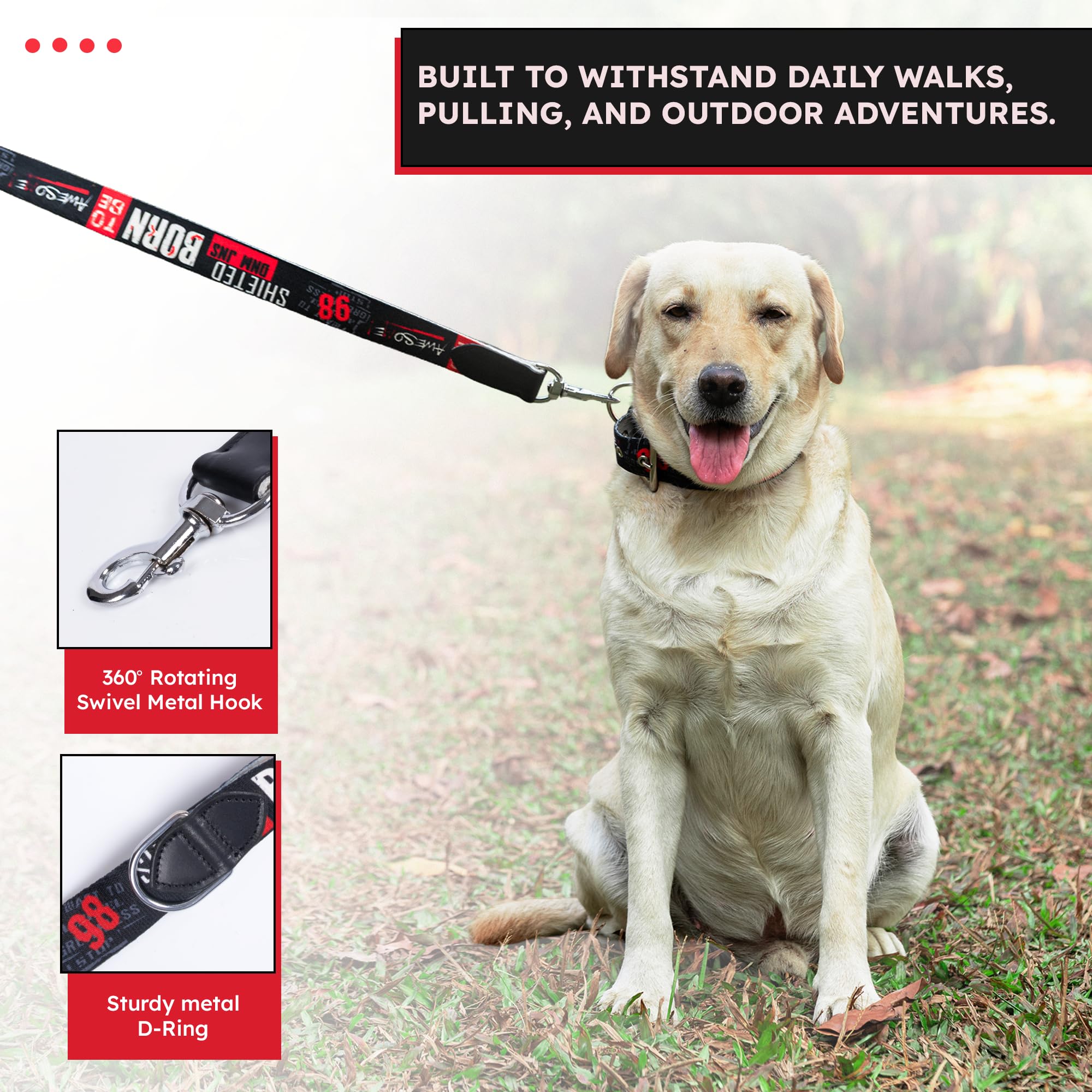 ADIL's Handcrafted Cotton Dog Leash – Premium Graffiti Printed Webbing Pet Walking Lead with Soft Loop Handle 360° Chrome Swivel Hook Strong Metallic D-Ring for Small Medium Large Dogs, 5ft