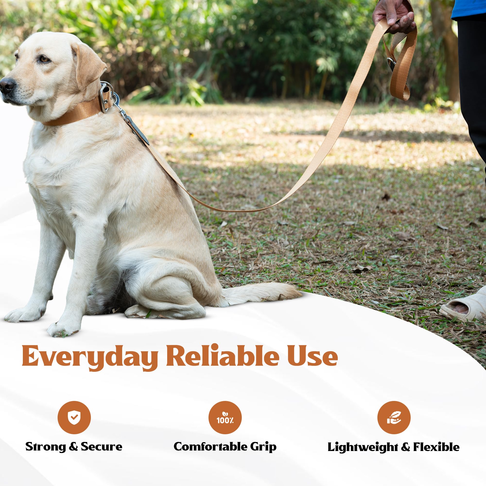 ADIL's Nylon Dog Leash, Heavy Duty Walking Lead with 360° Swivel Metal Hook 1.5 Inch Wide Durable Training Cord with Comfortable Loop Handle for Medium Large Dogs