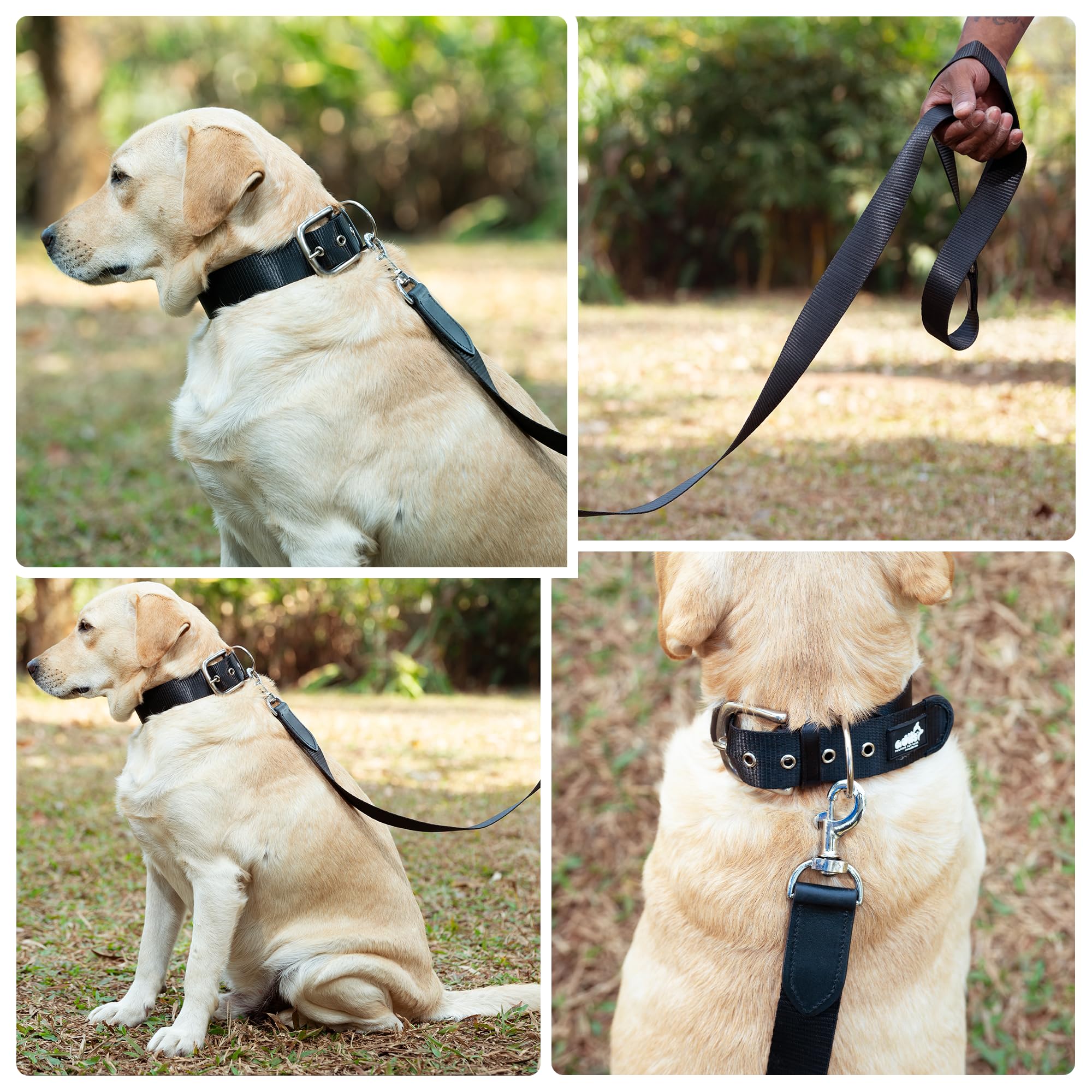 ADIL's Nylon Dog Leash, Heavy Duty Walking Lead with 360° Swivel Metal Hook 1.5 Inch Wide Durable Training Cord with Comfortable Loop Handle for Medium Large Dogs